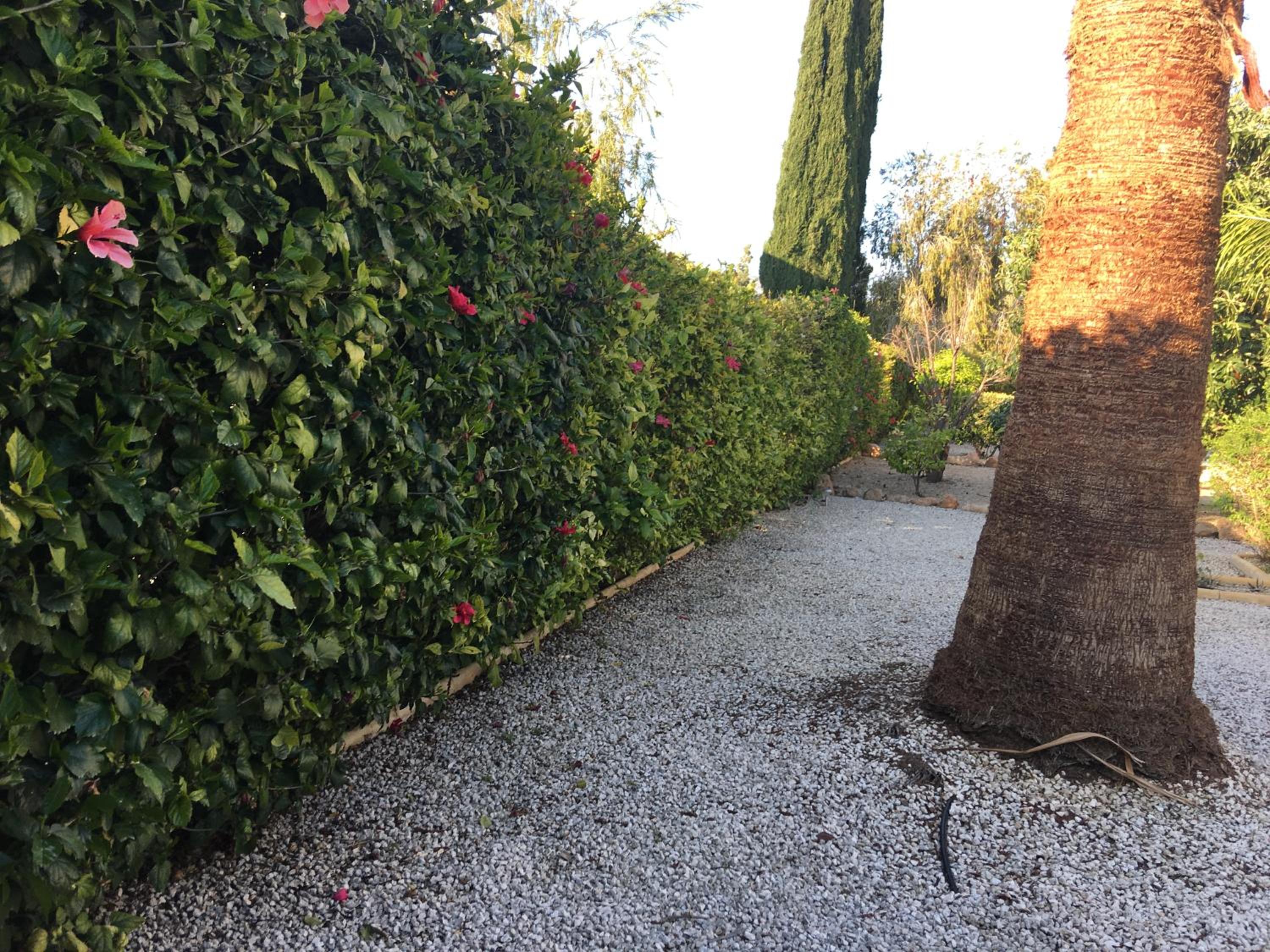 Villa Anthiana