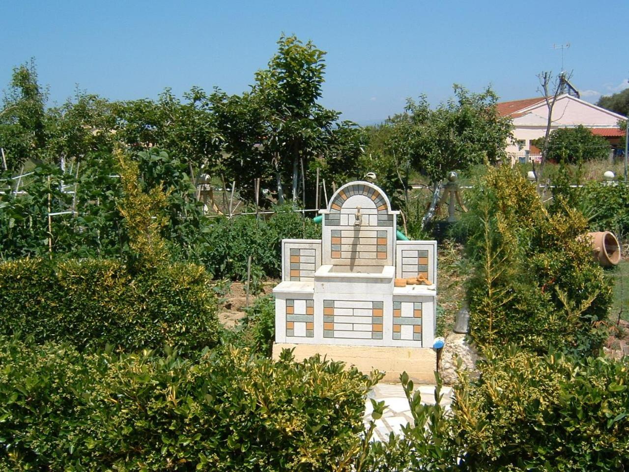 Photo 20