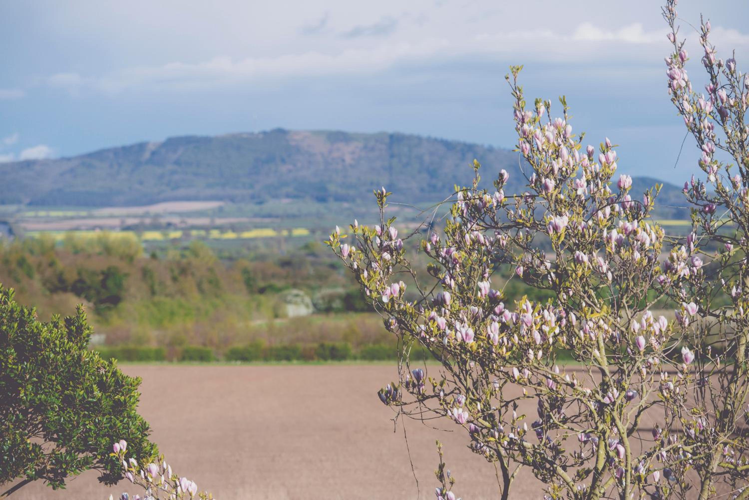 The Haughmond