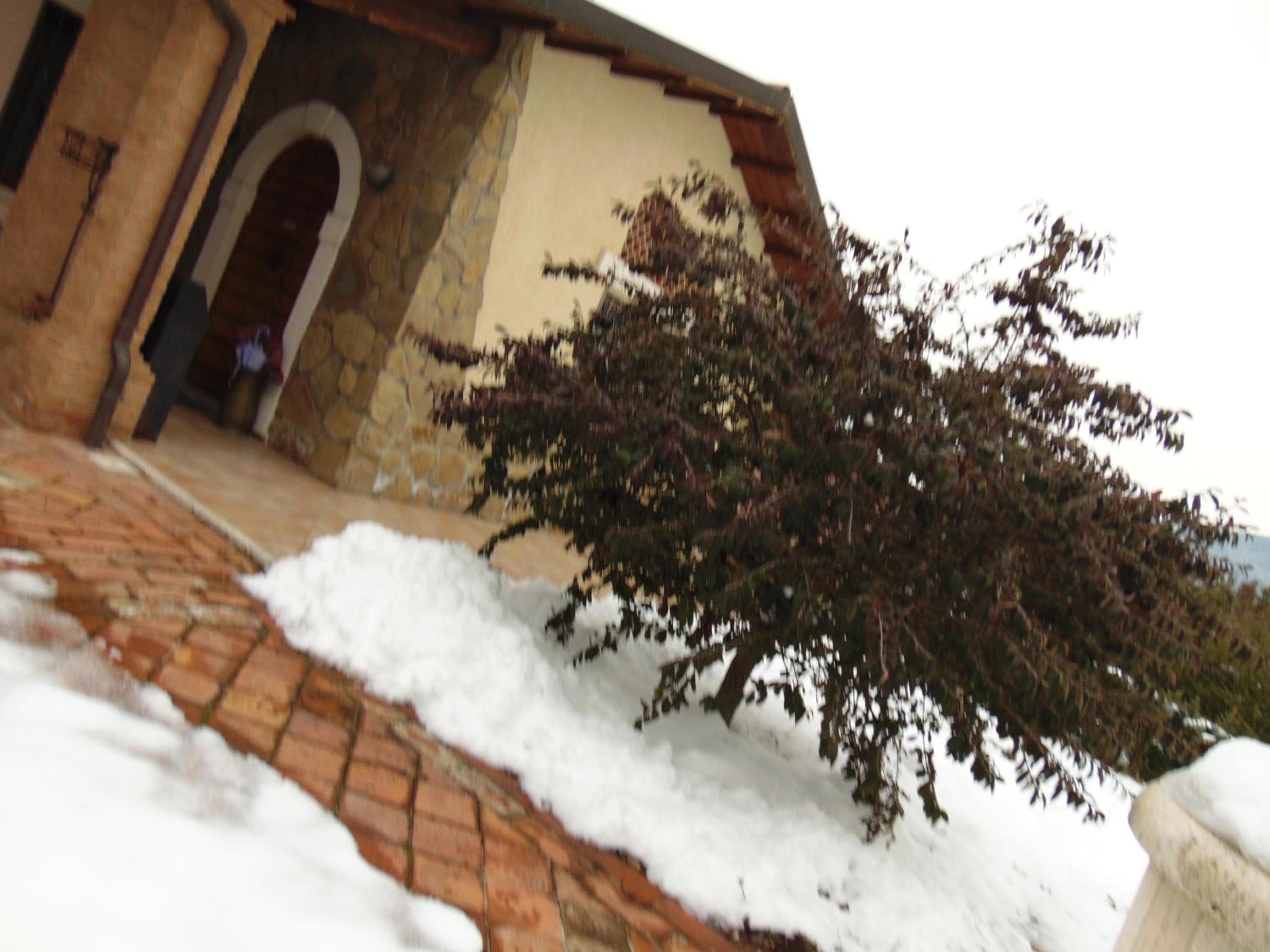 Photo 28