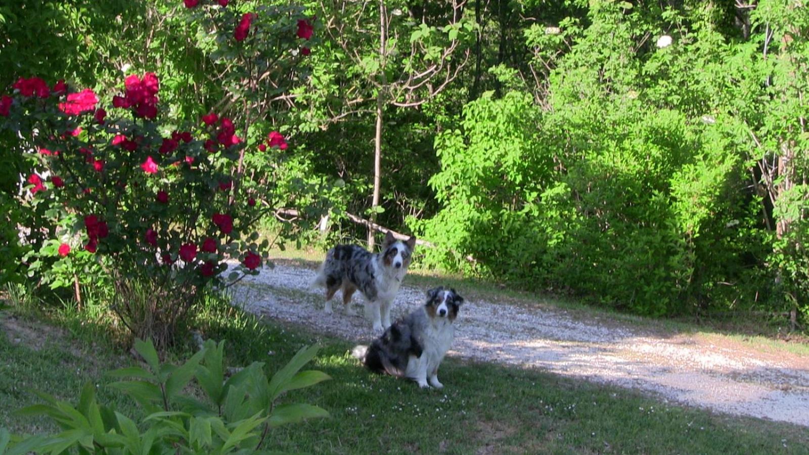 Photo 29