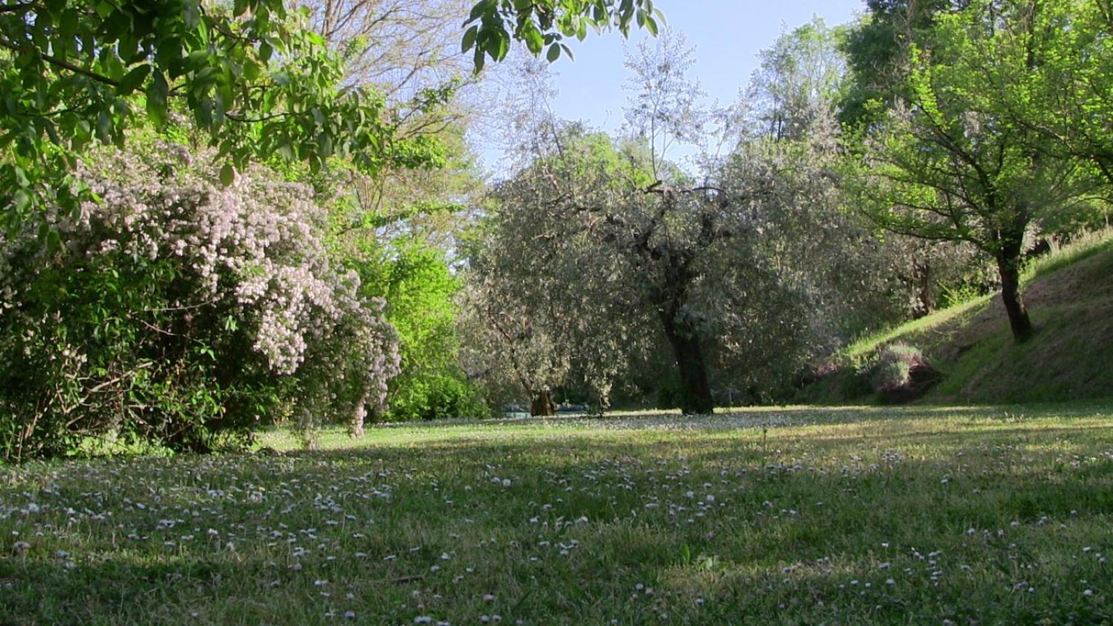 Photo 51