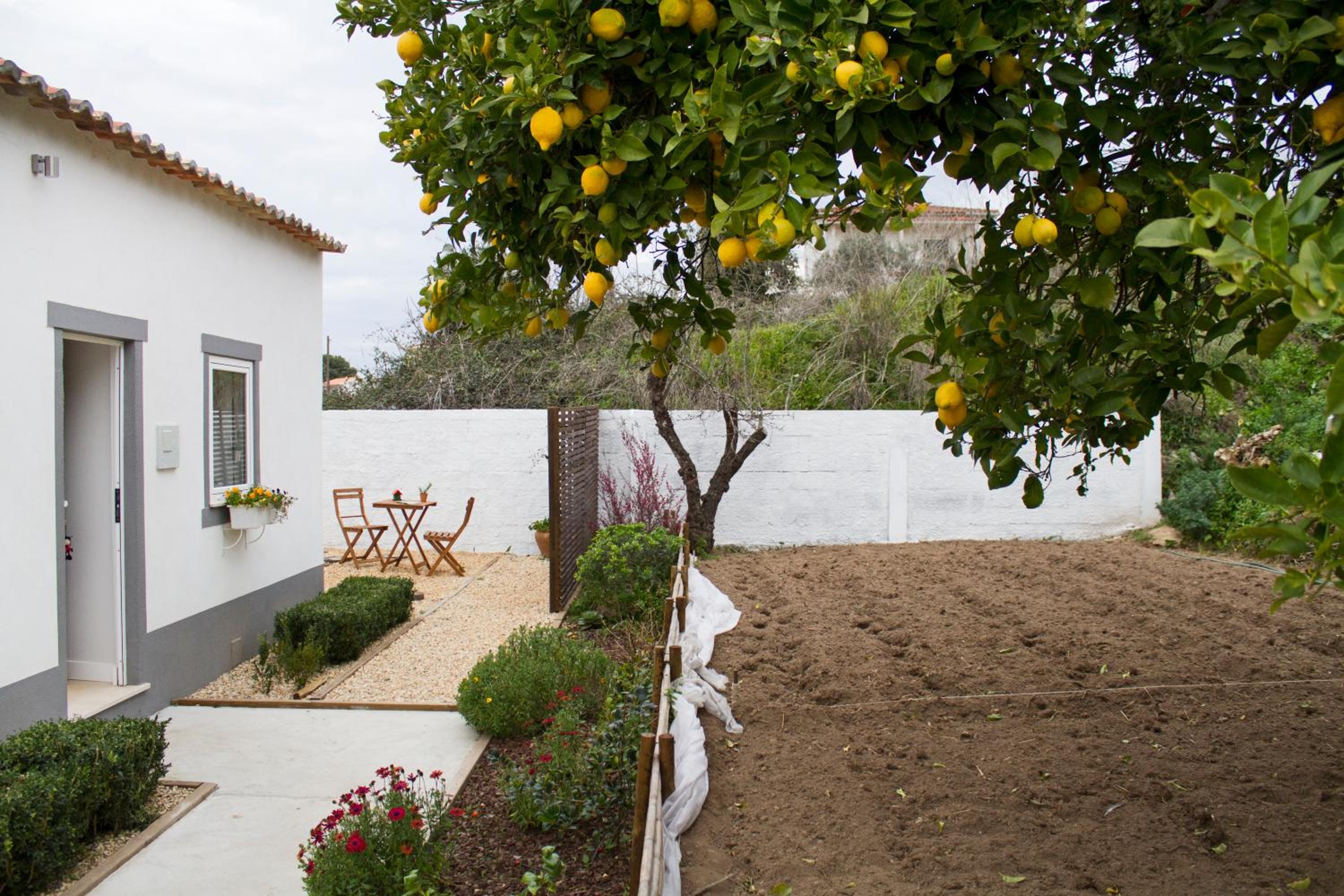 Casa do Avô Serra view 5