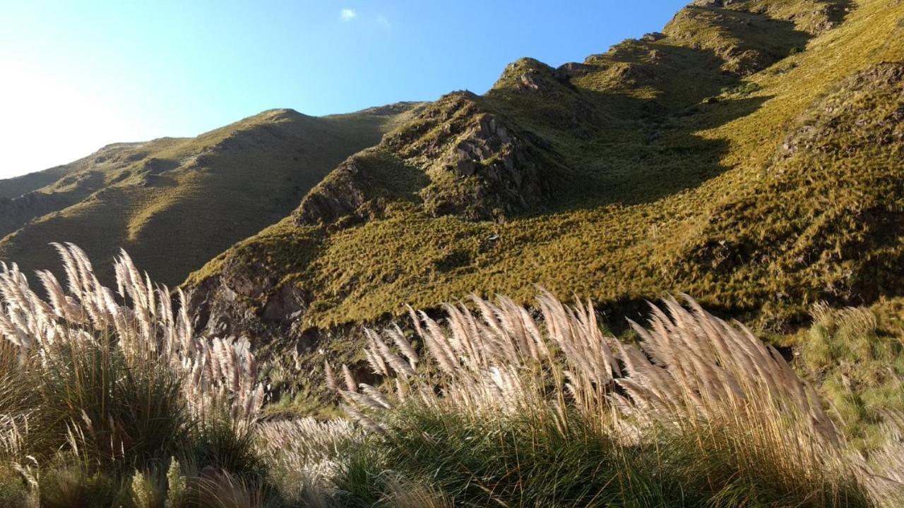 Aires de Ambar