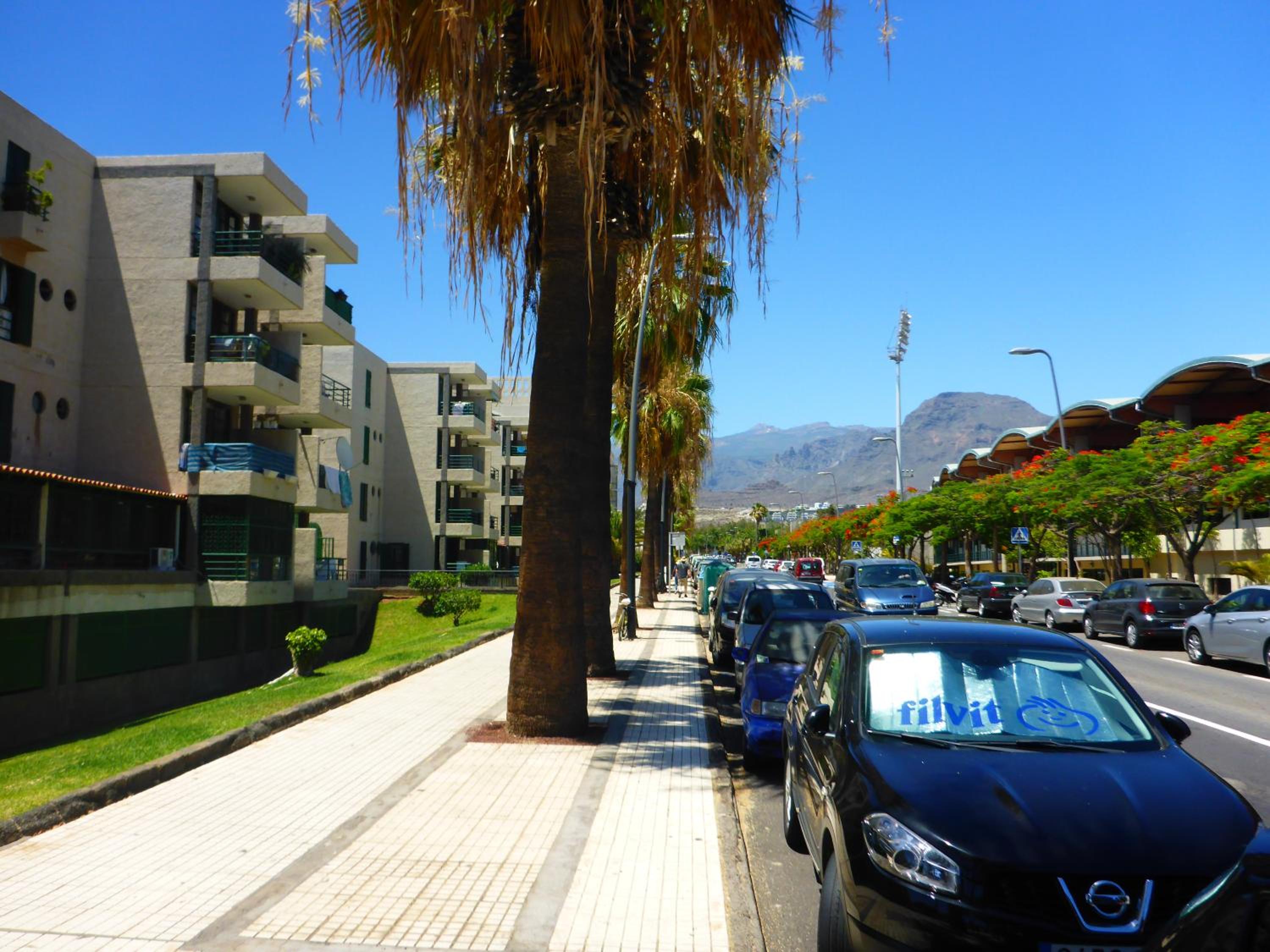 Las Viñas Apartment