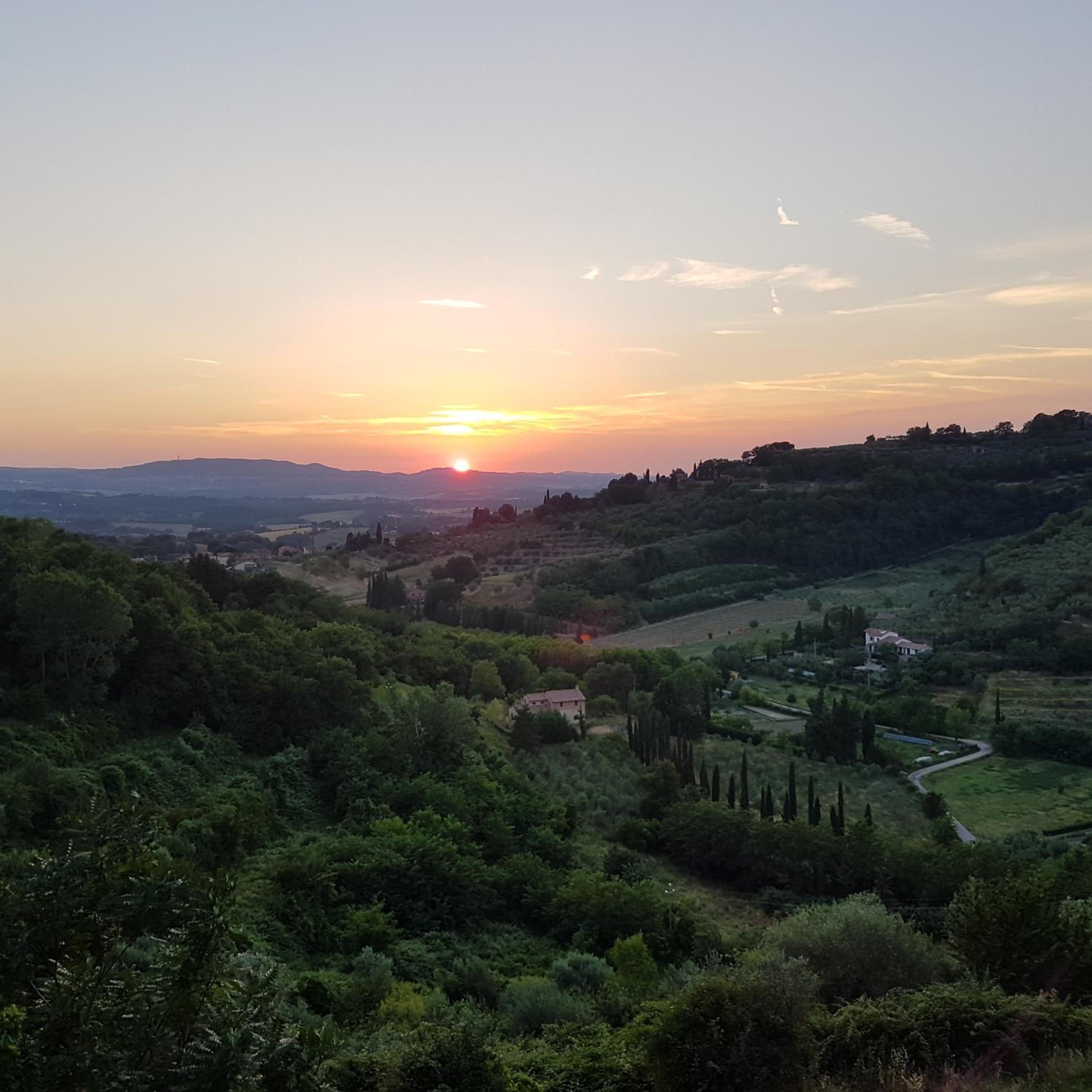 L'Albero Di Gamelì