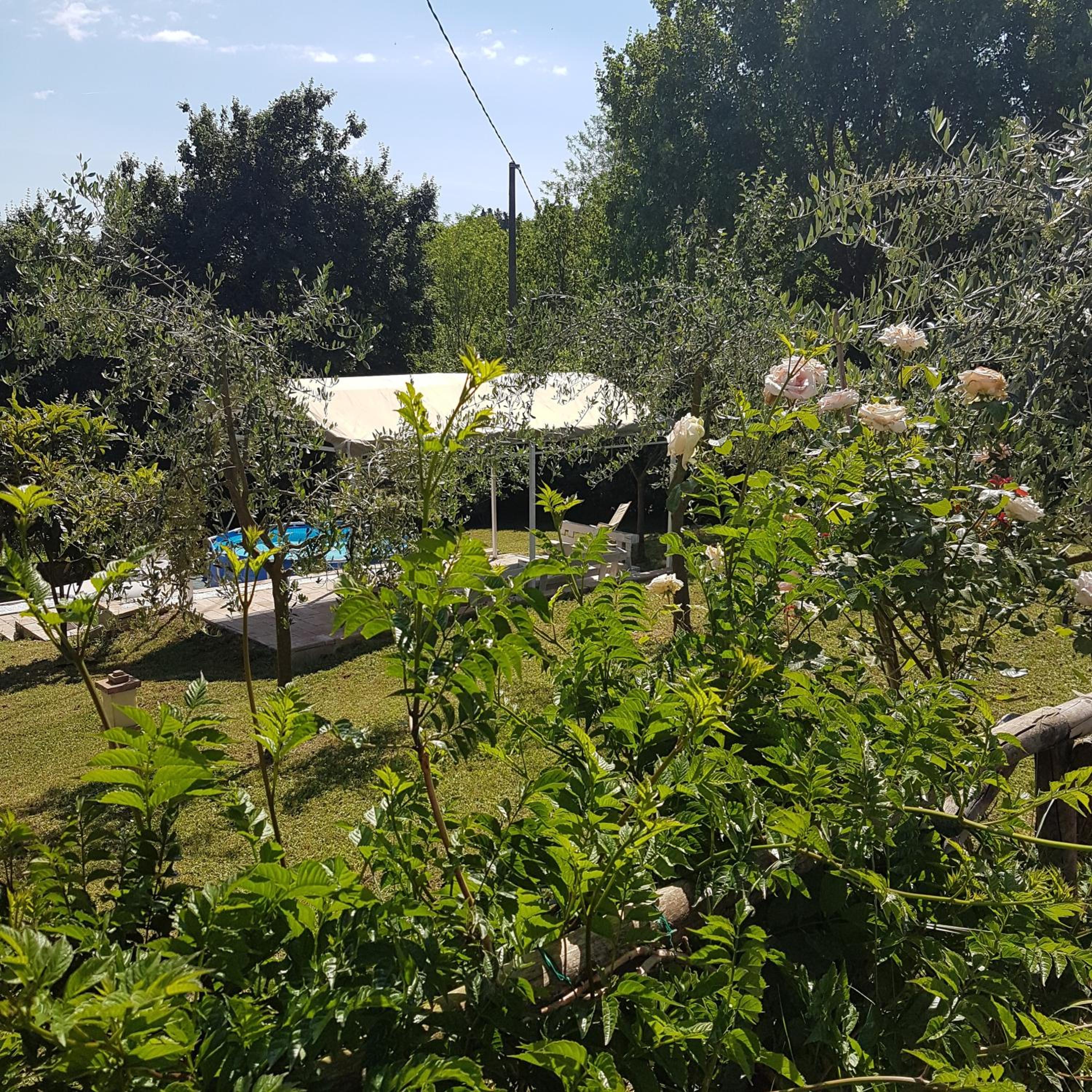 L'Albero Di Gamelì