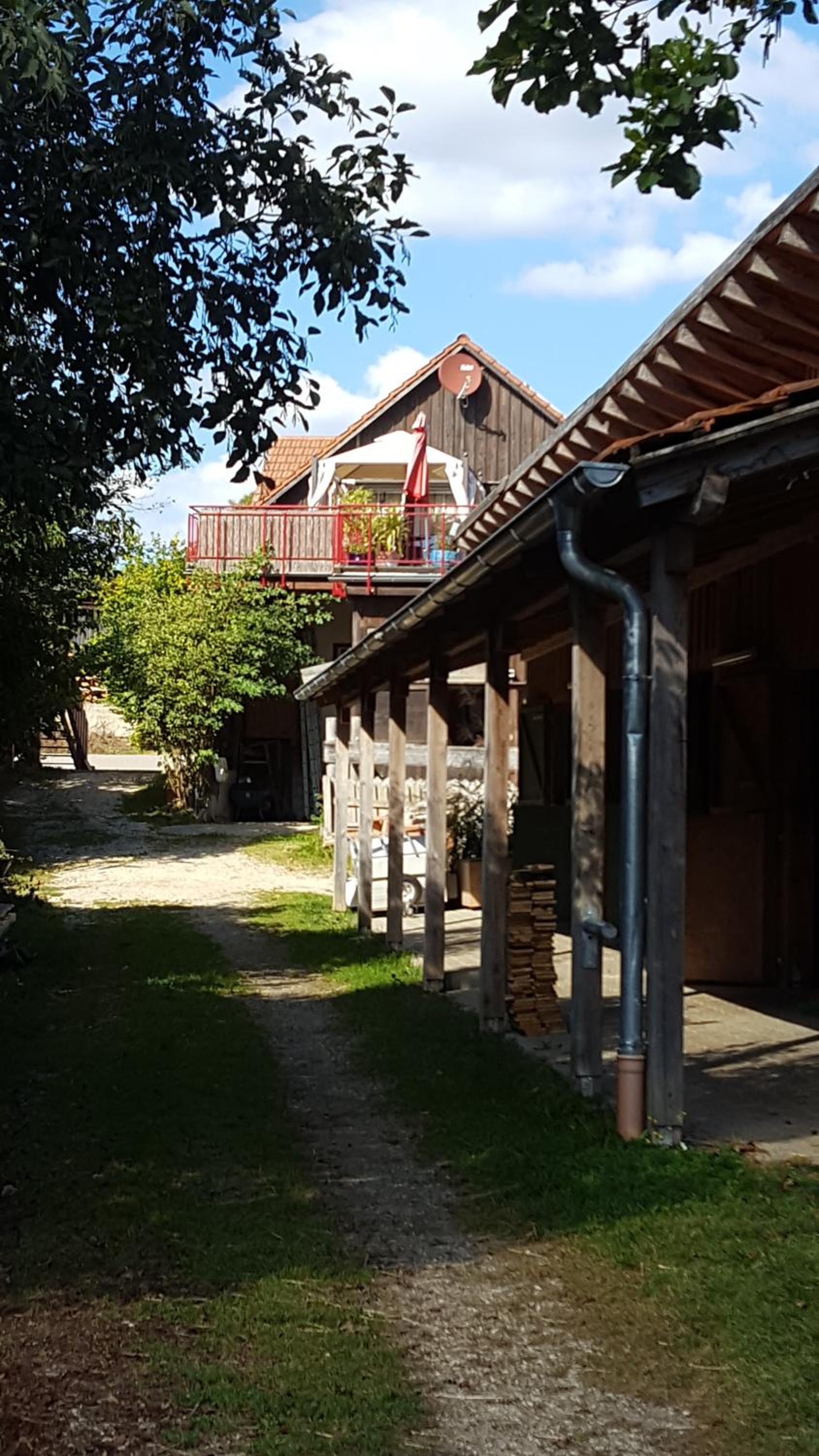 Photo 27