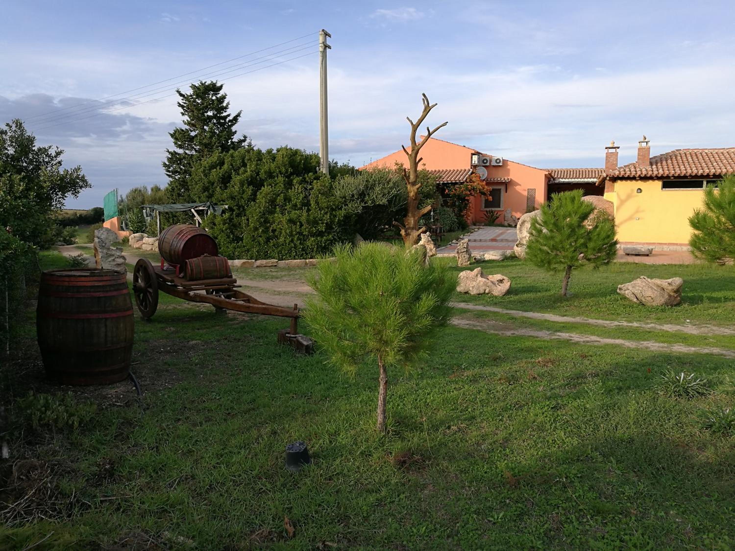 Photo 19