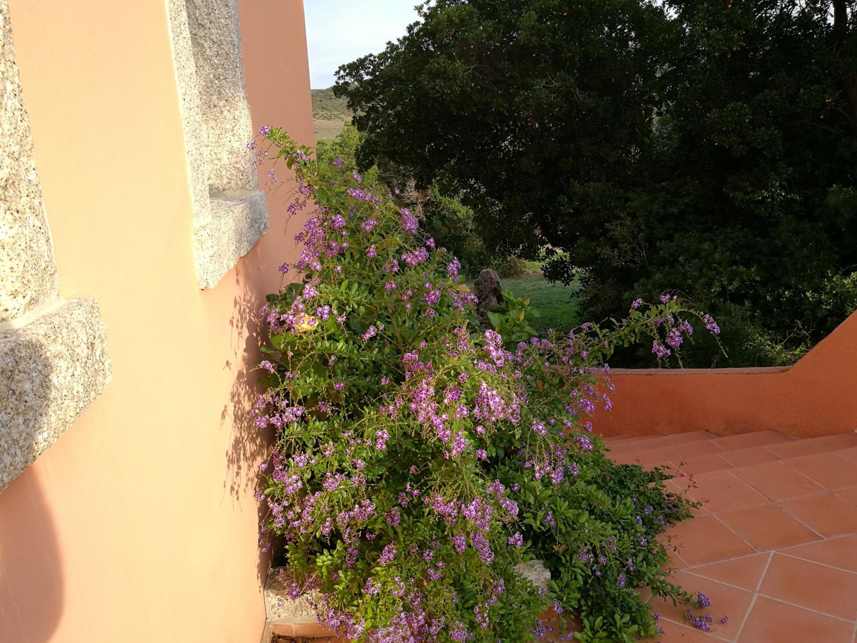 Photo 81