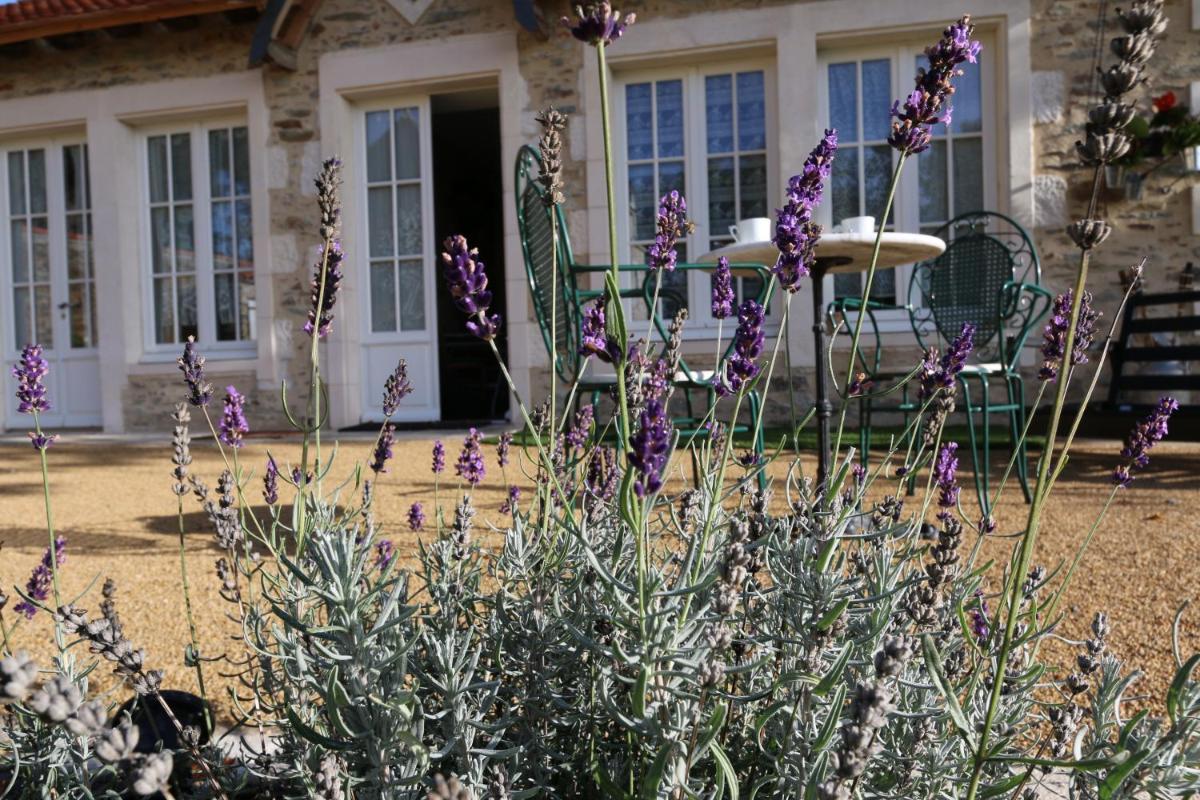 Le Petit Château des Cedres