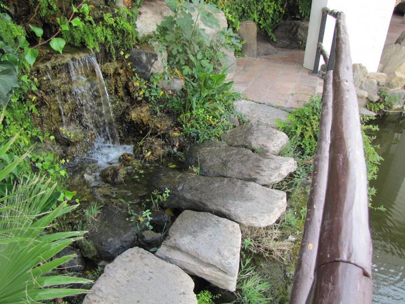 Photo 46
