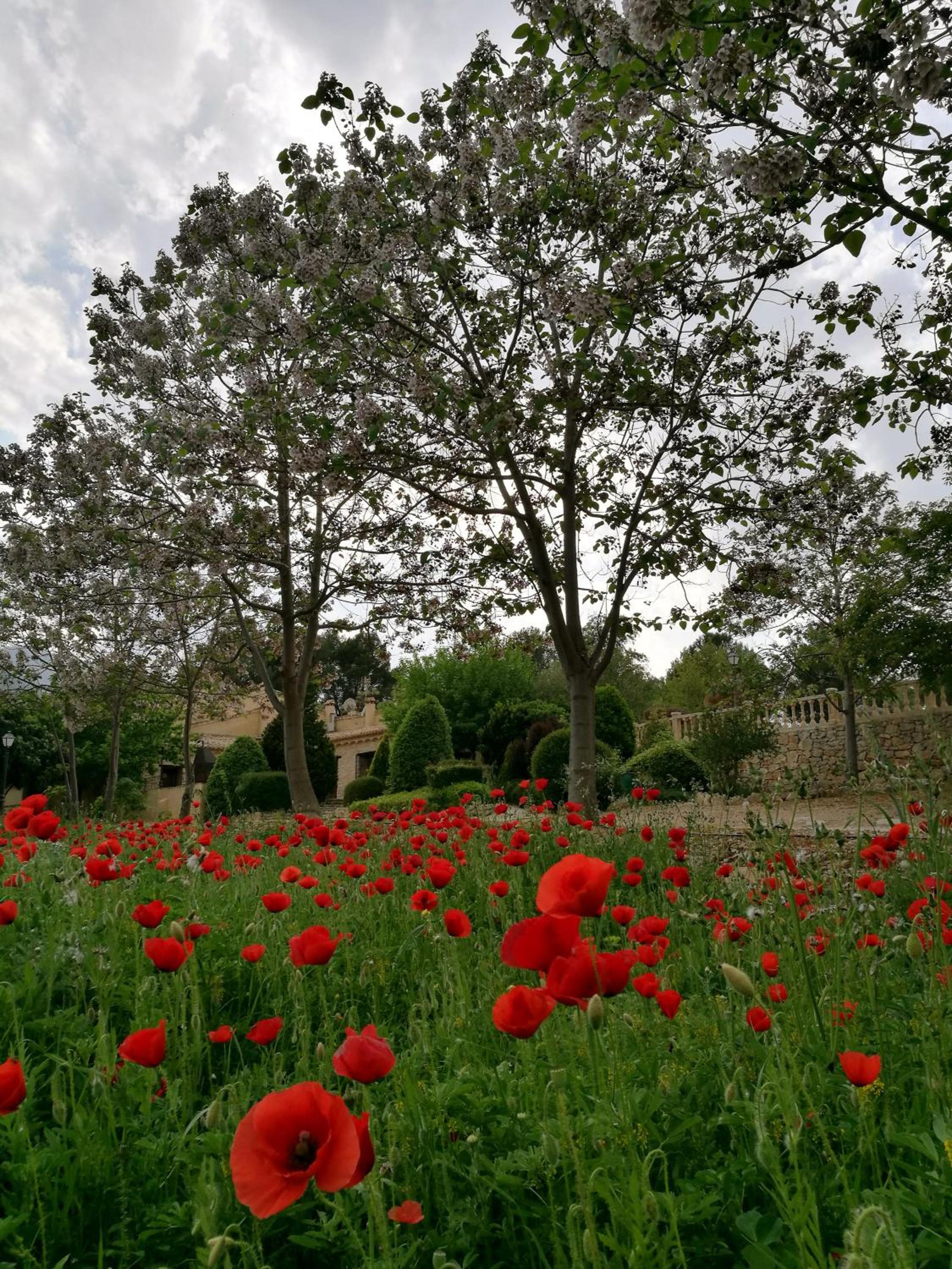 Finca La Celada