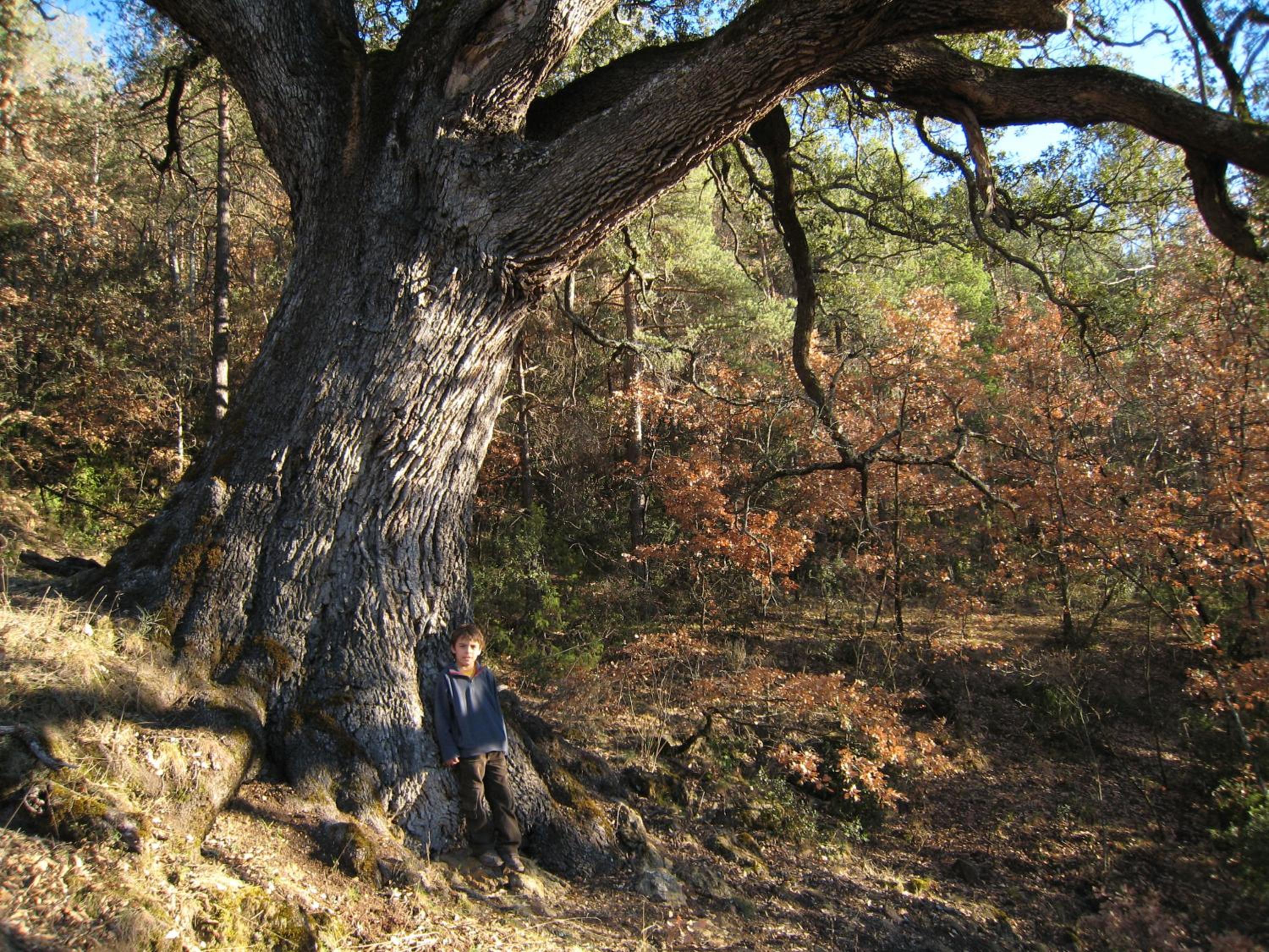 Photo 7