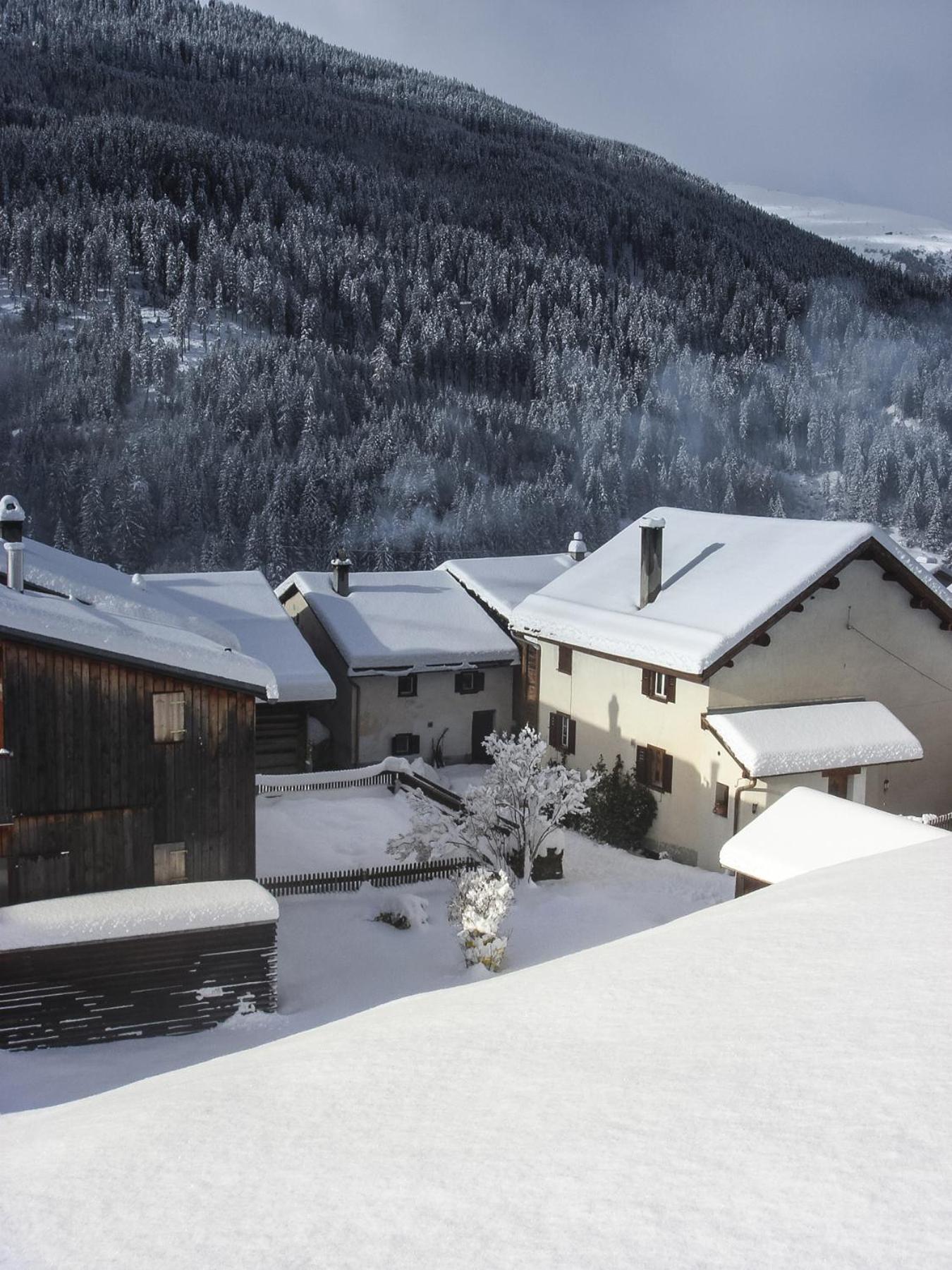 Ferienhaus Tinizong