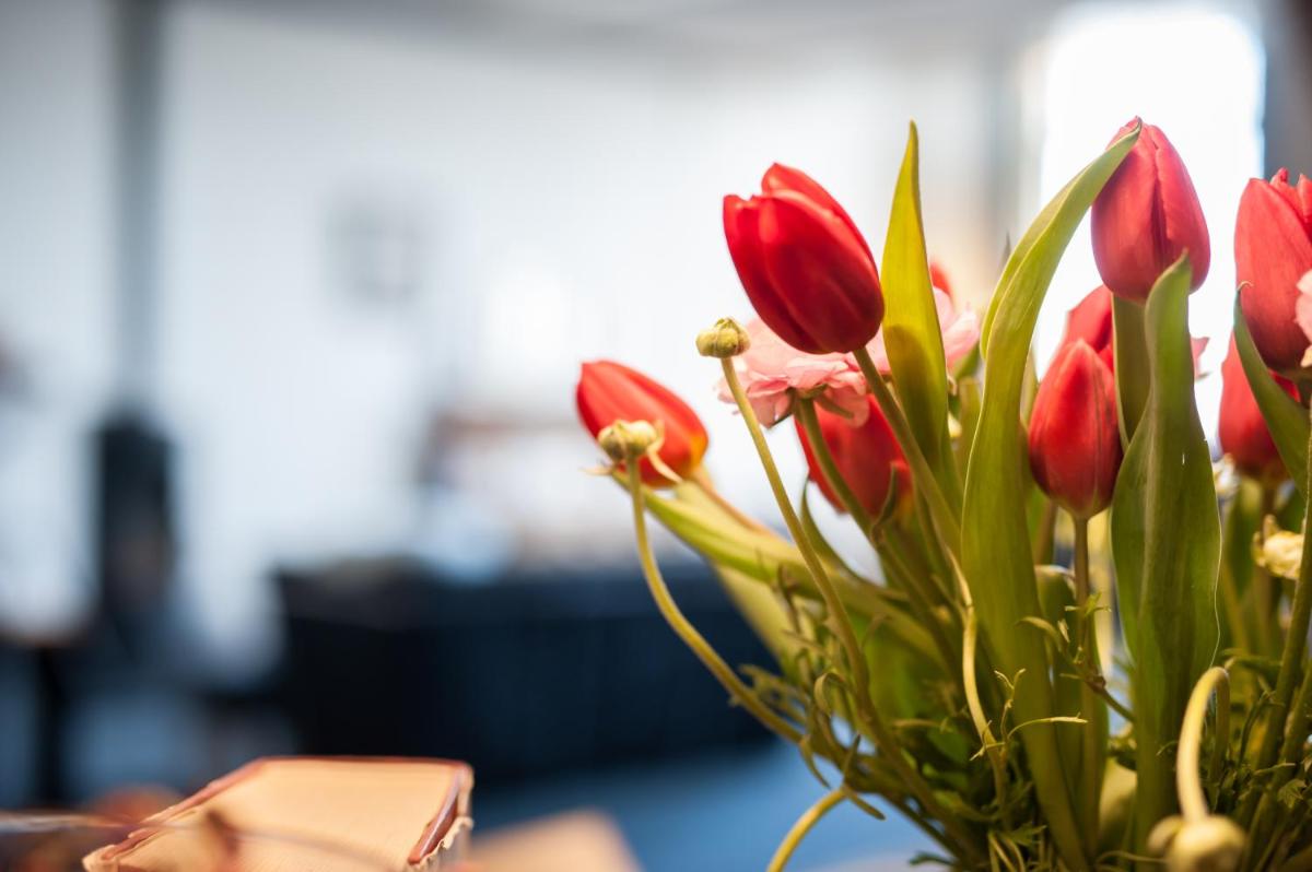 Hotel B&B bINNengewoon rooms with a view - Image 1