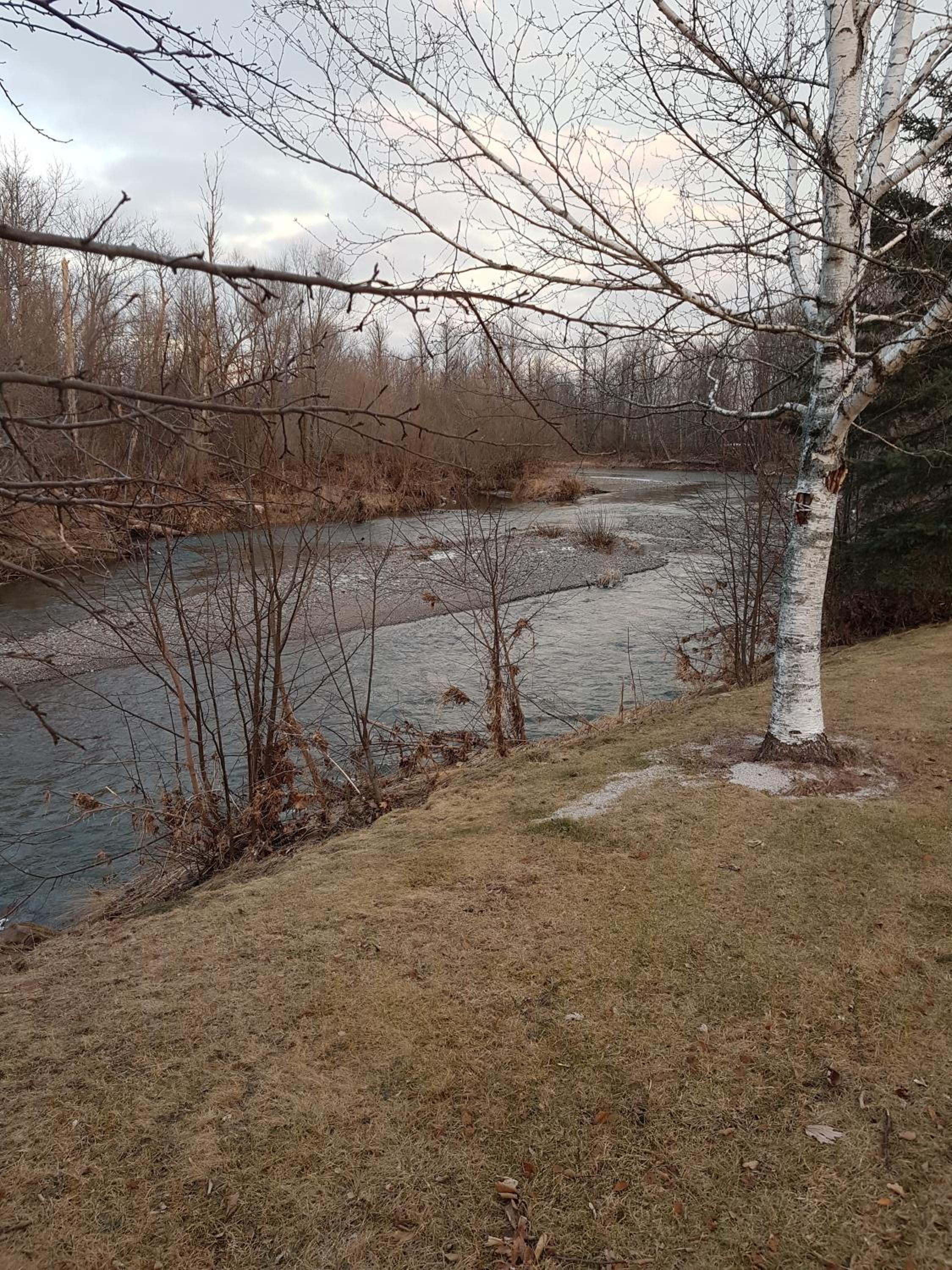 Photo 35