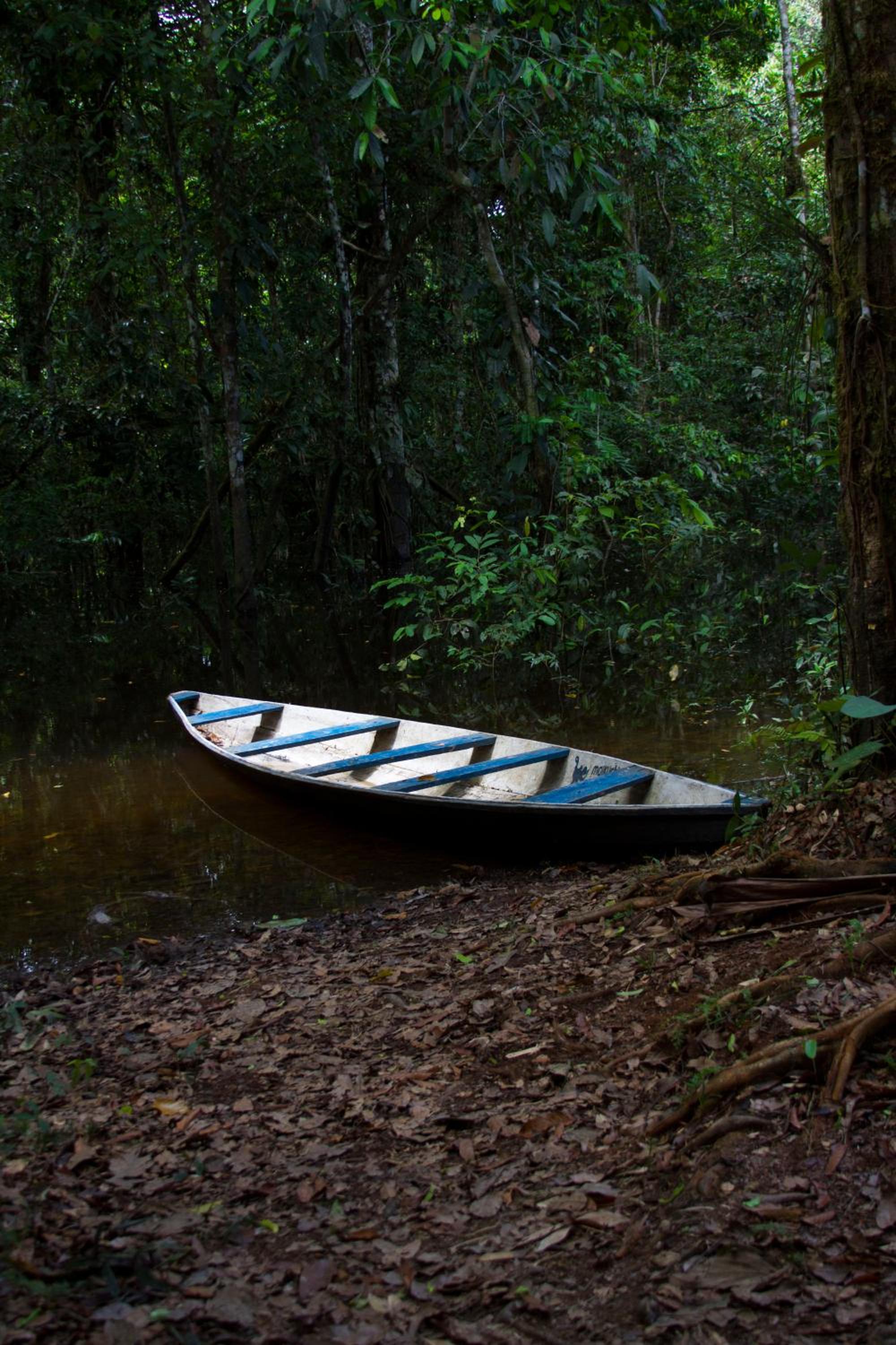 La Ceiba, Amazonas