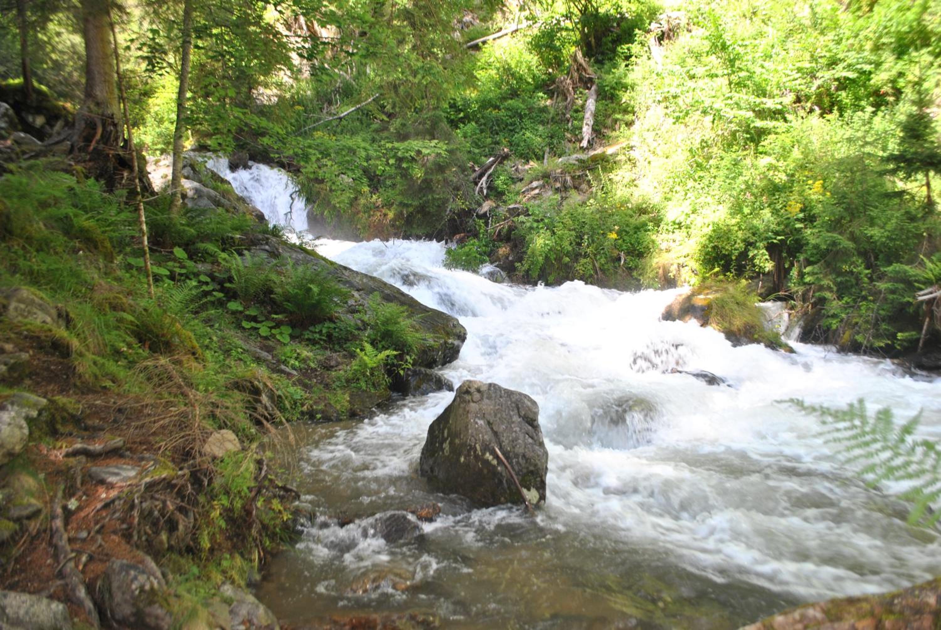 Apartment zum Wasserfall