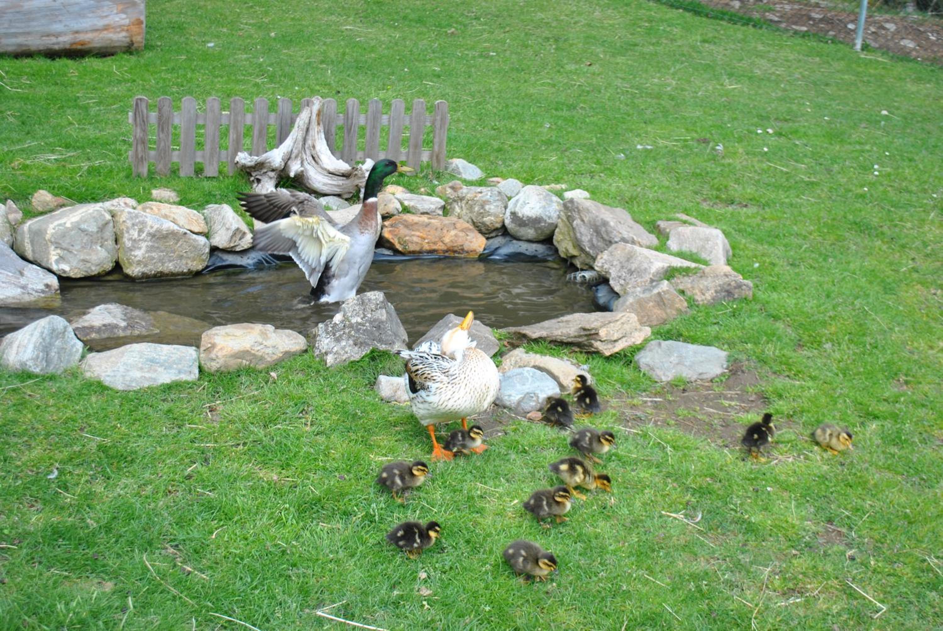 Apartment zum Wasserfall