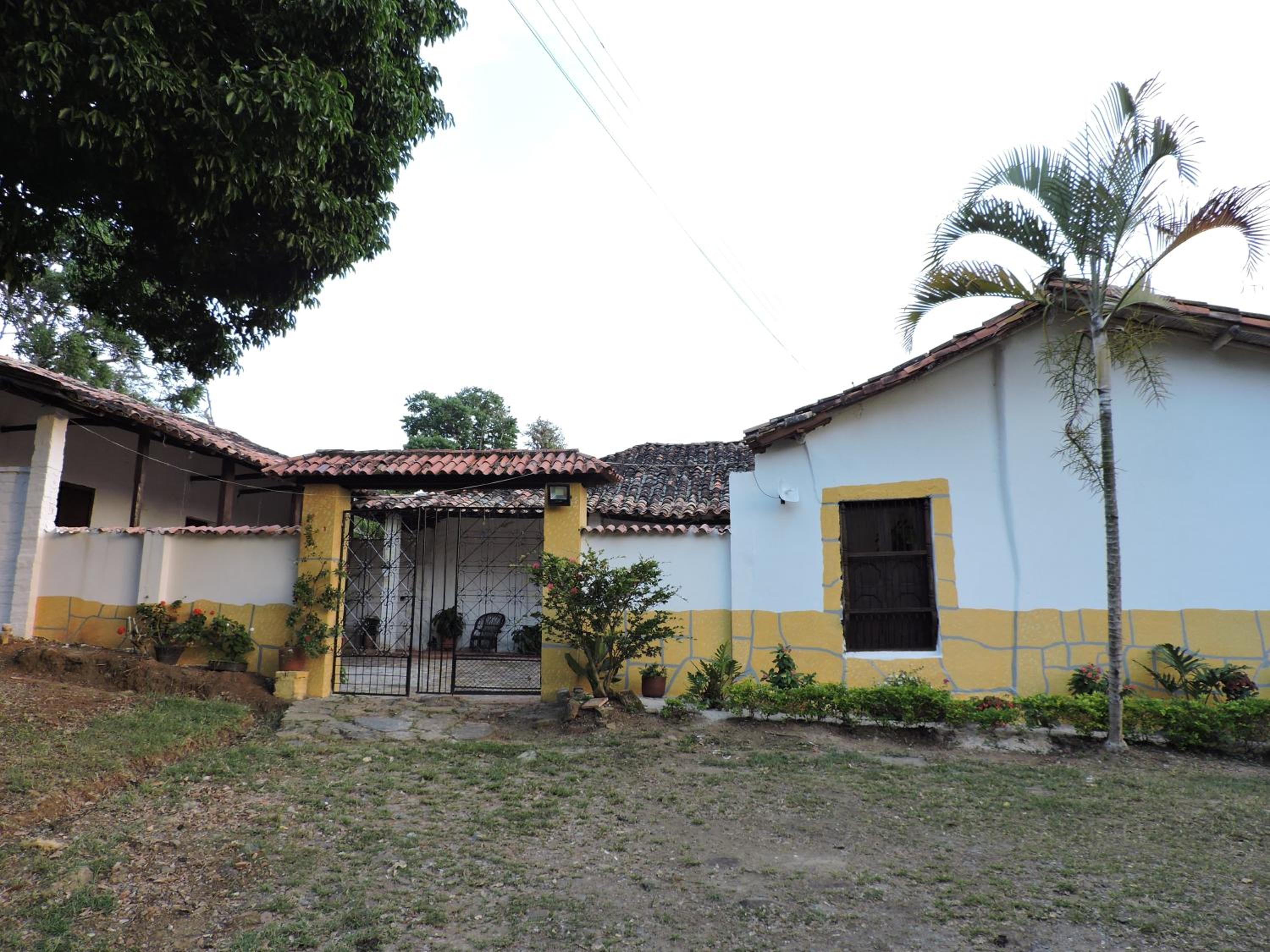 Photo 44