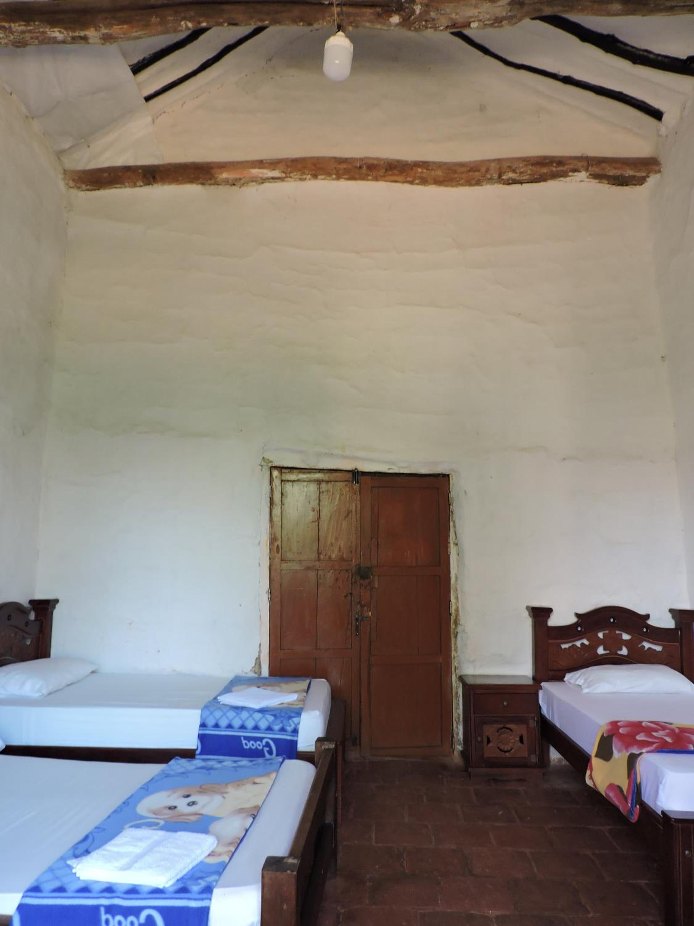 Photo 41
