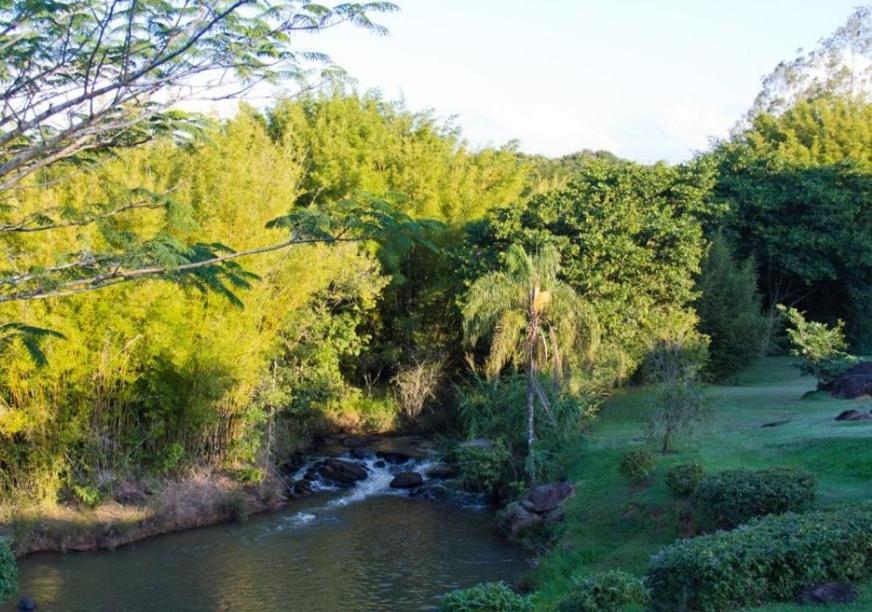 Photo 54