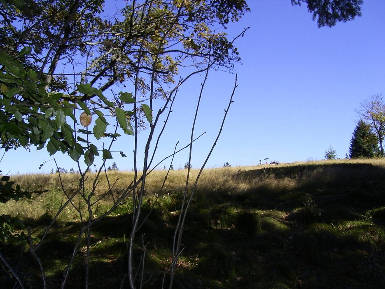 Photo 27