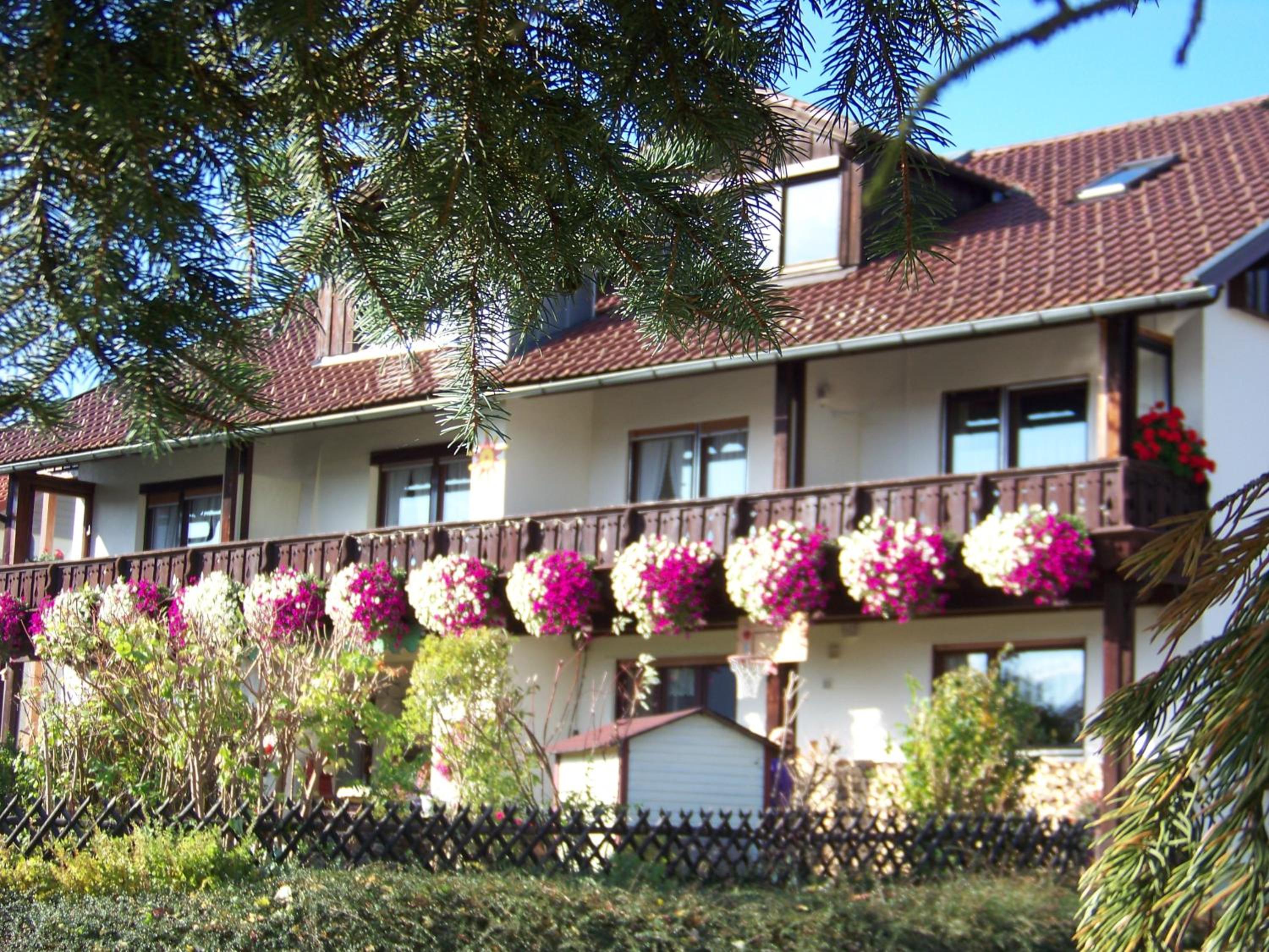 Pension Erna view 4