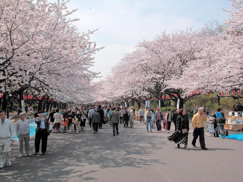 Mervielle Ueno