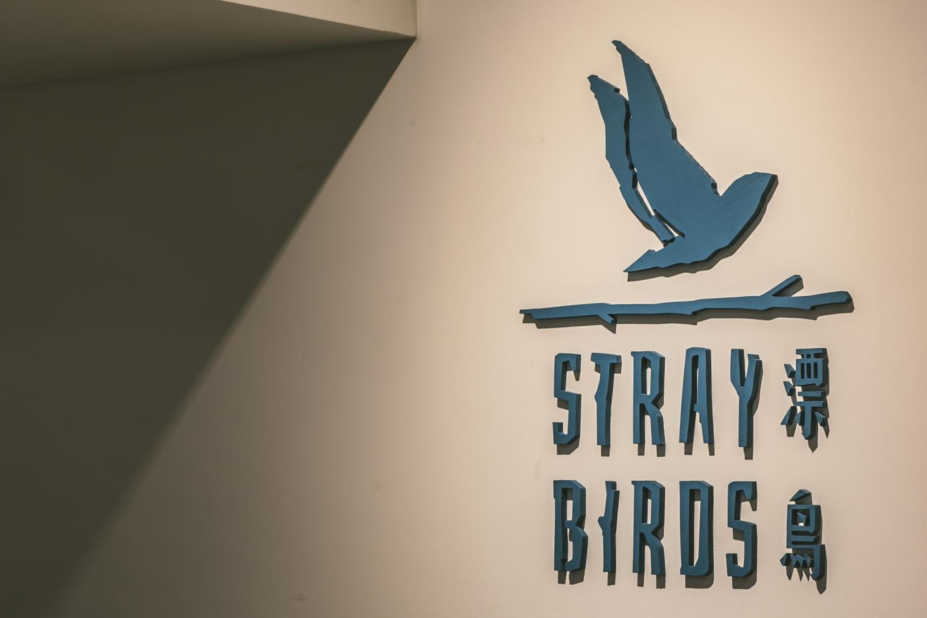 Stray Birds Taichung Hostel 43