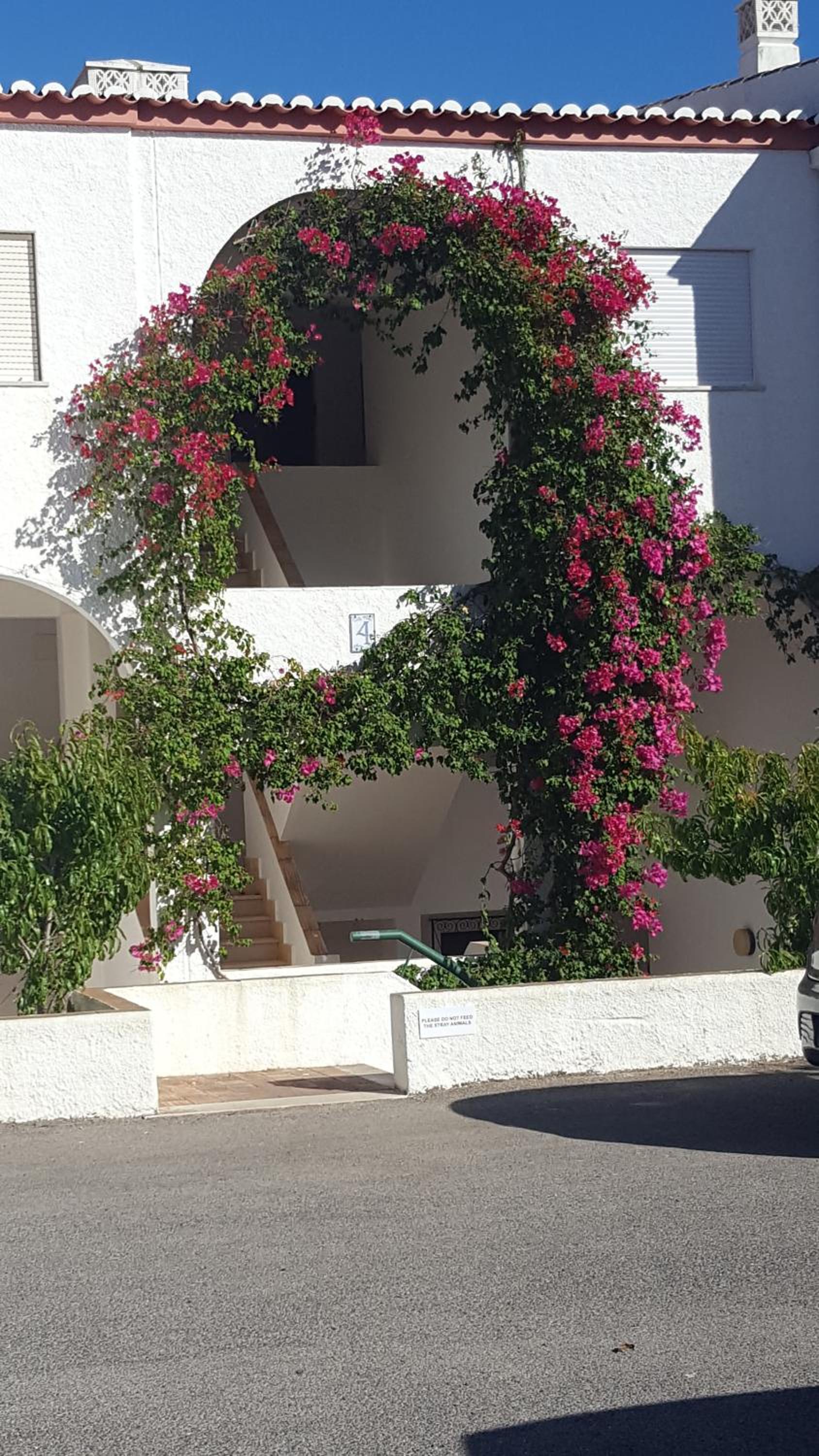 CASA MONACO vue mer view 2