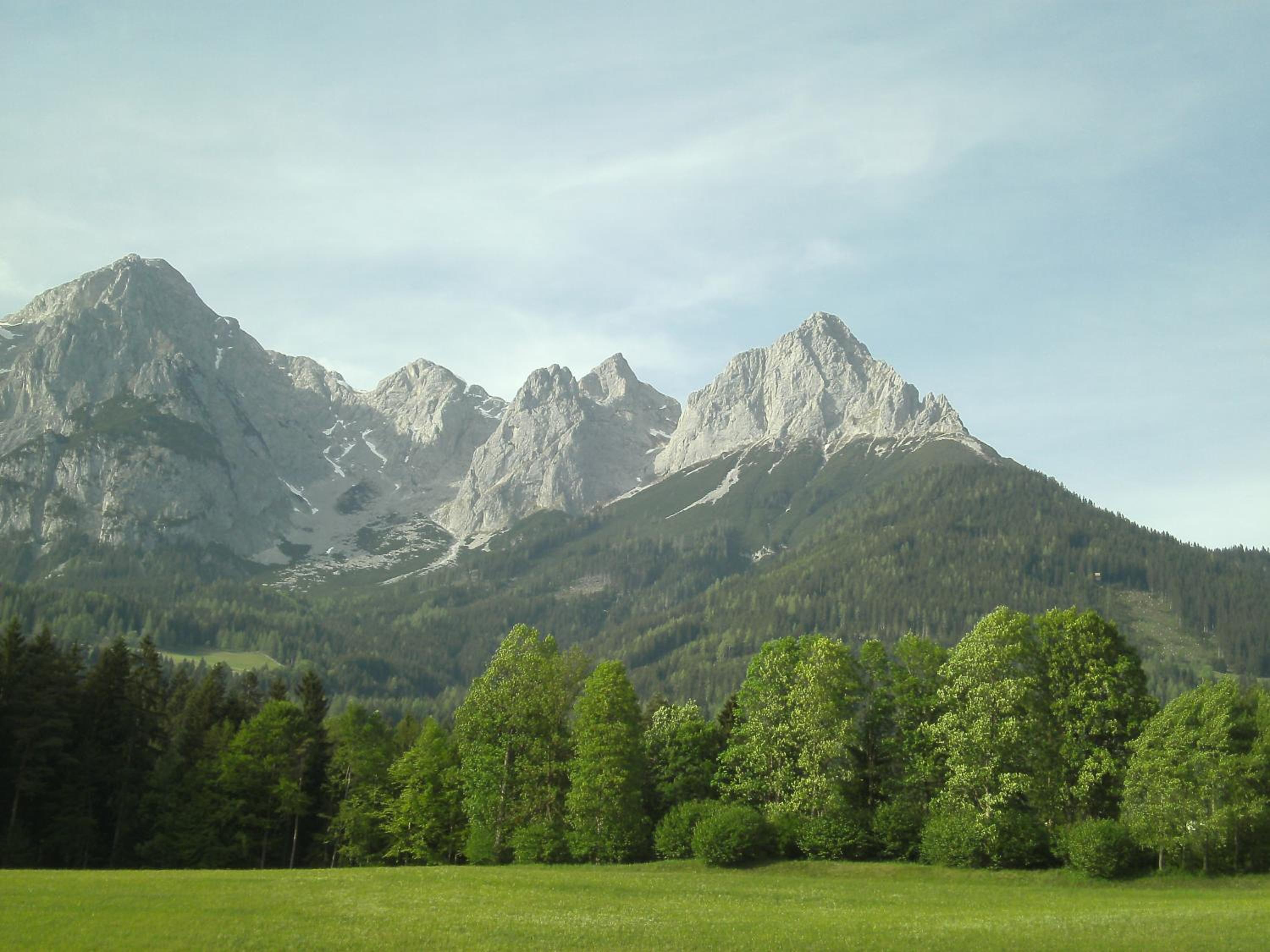 Photo 13