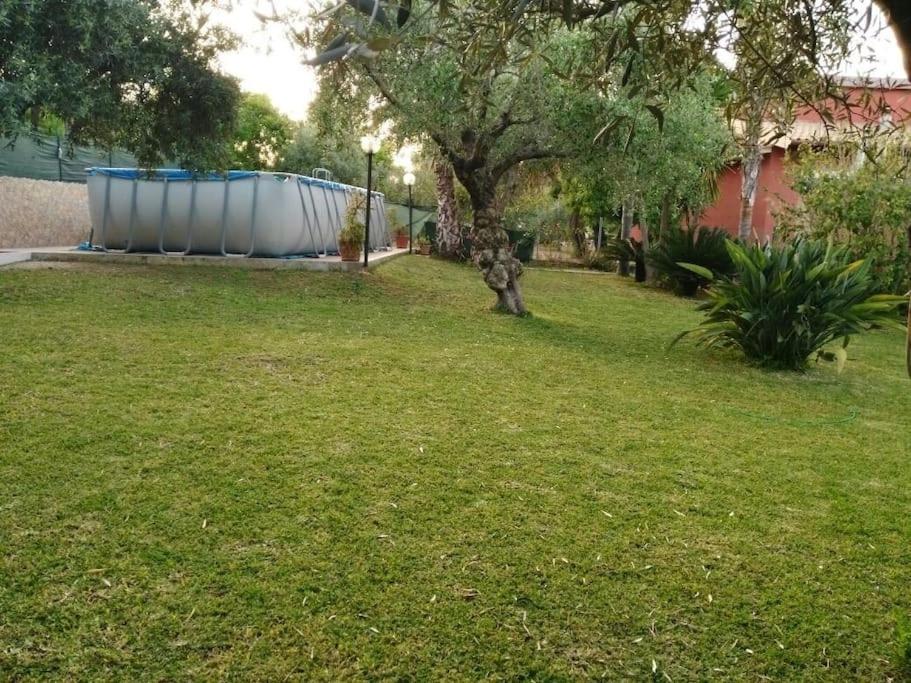 Photo 35
