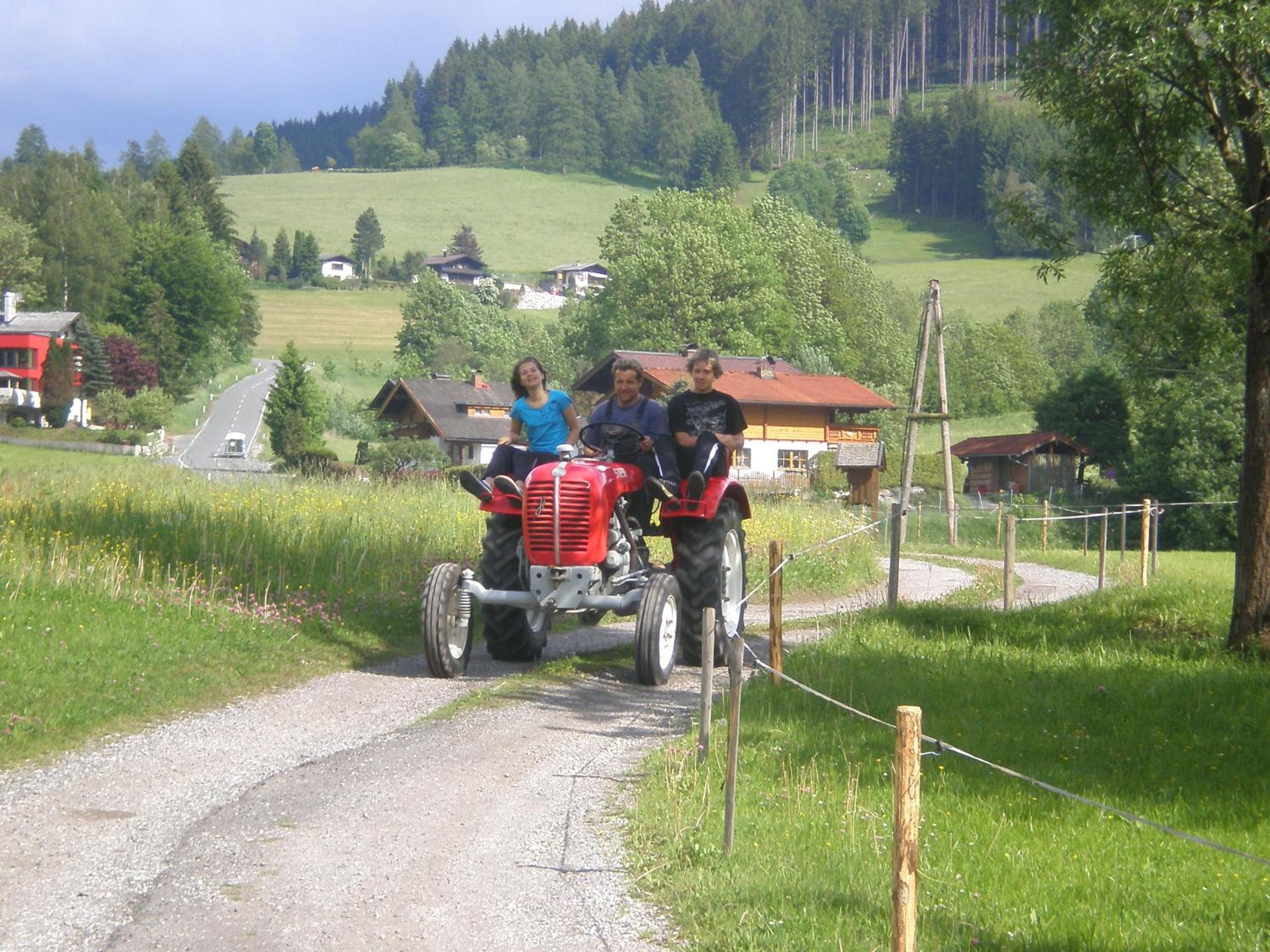 Photo 36