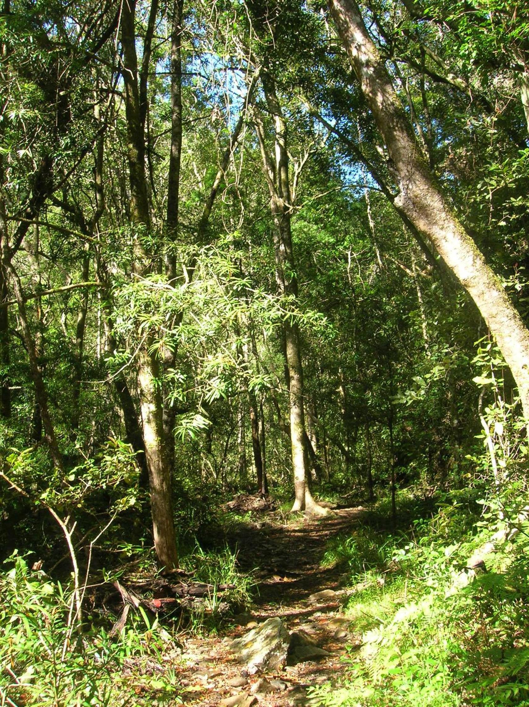 Photo 9