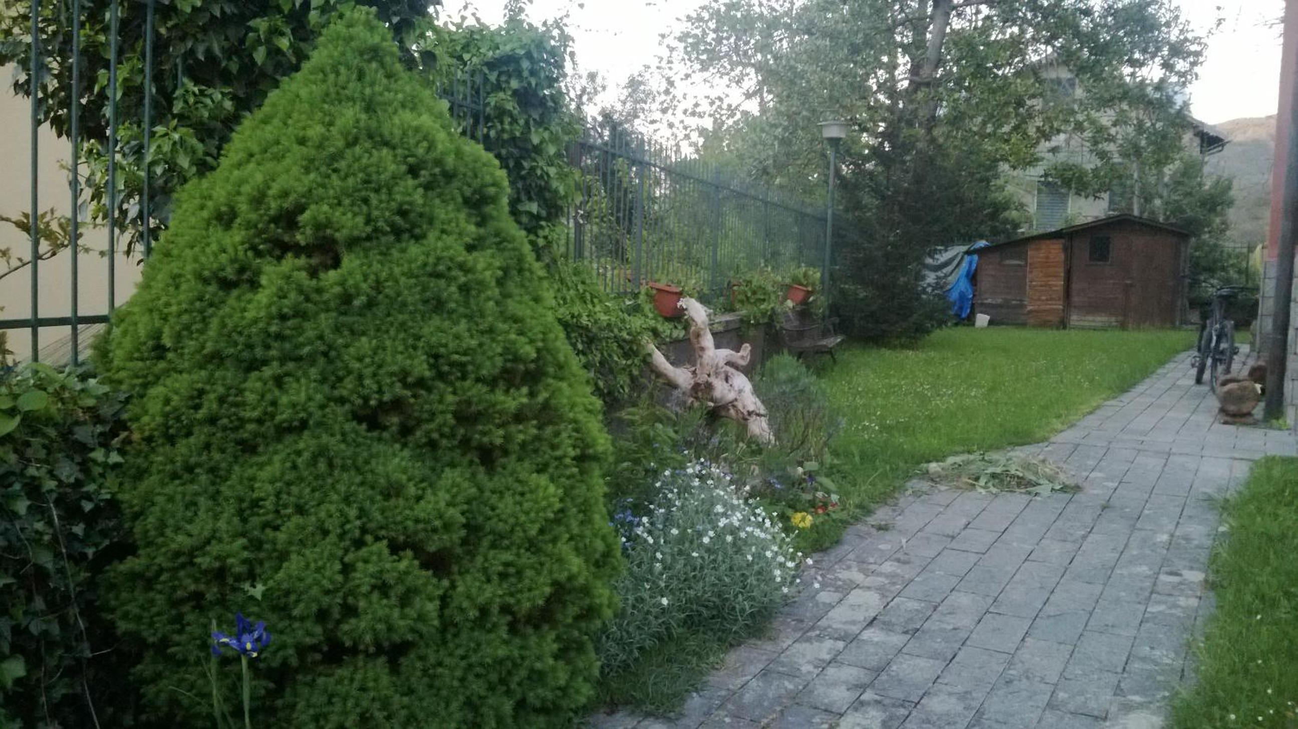 Photo 13