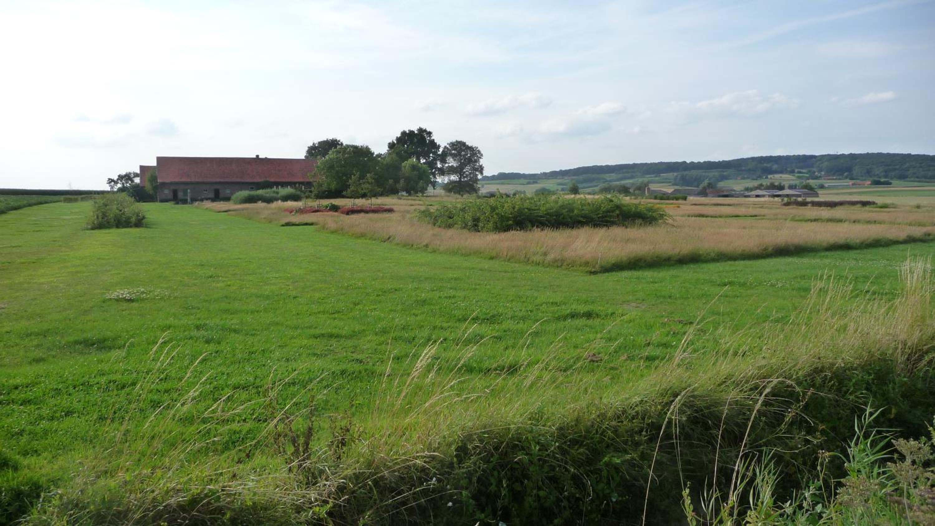 Guesthouse Kolibriehuys