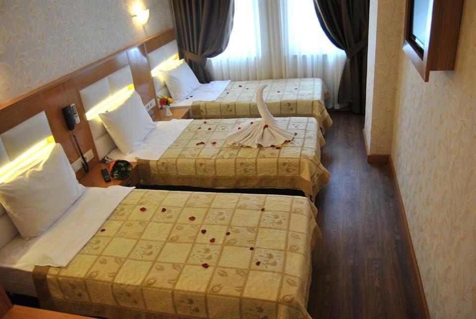 Hotel Star Park photo 3