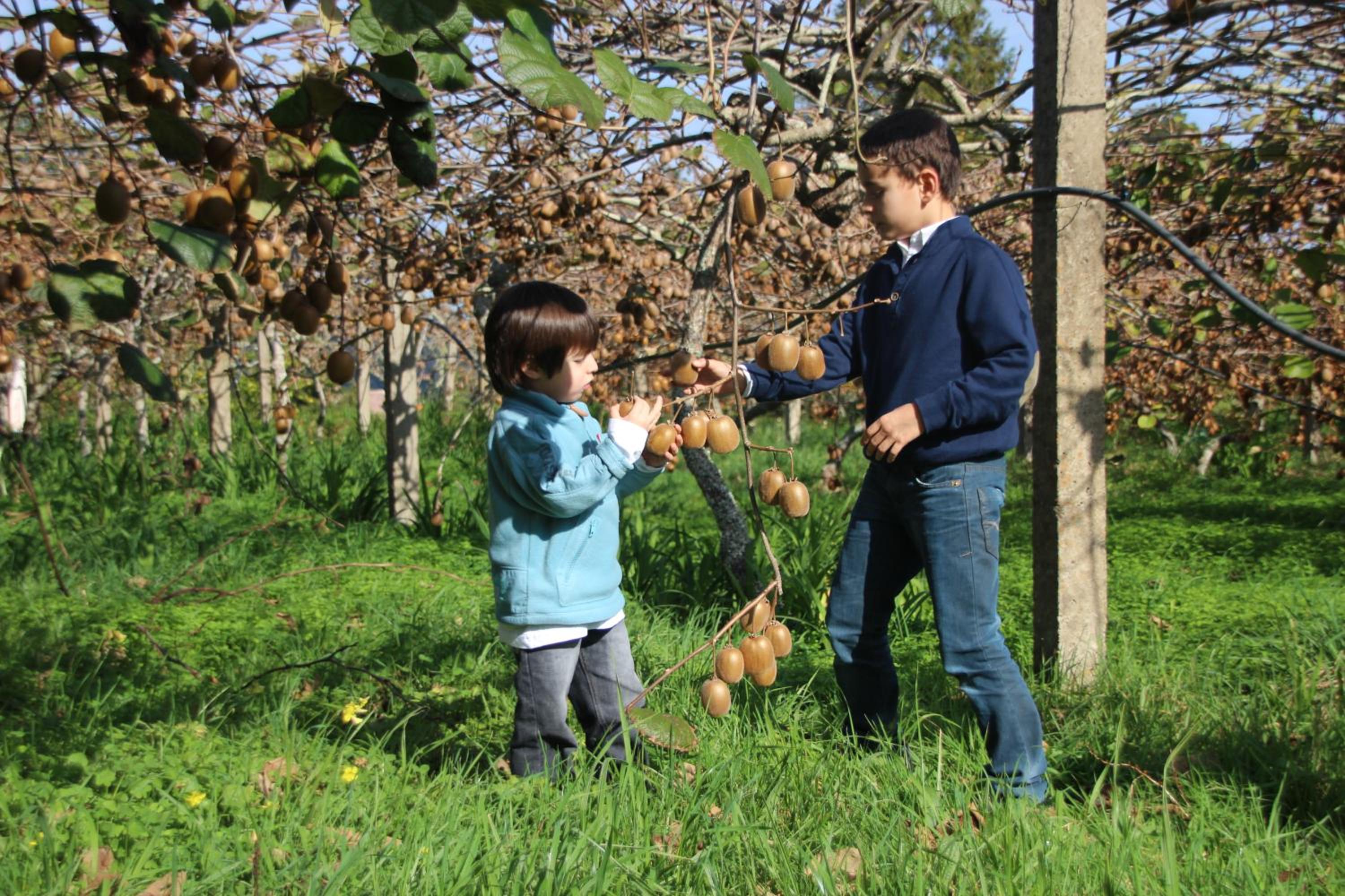 Bio Quinta do Pantano, Agro Turismo