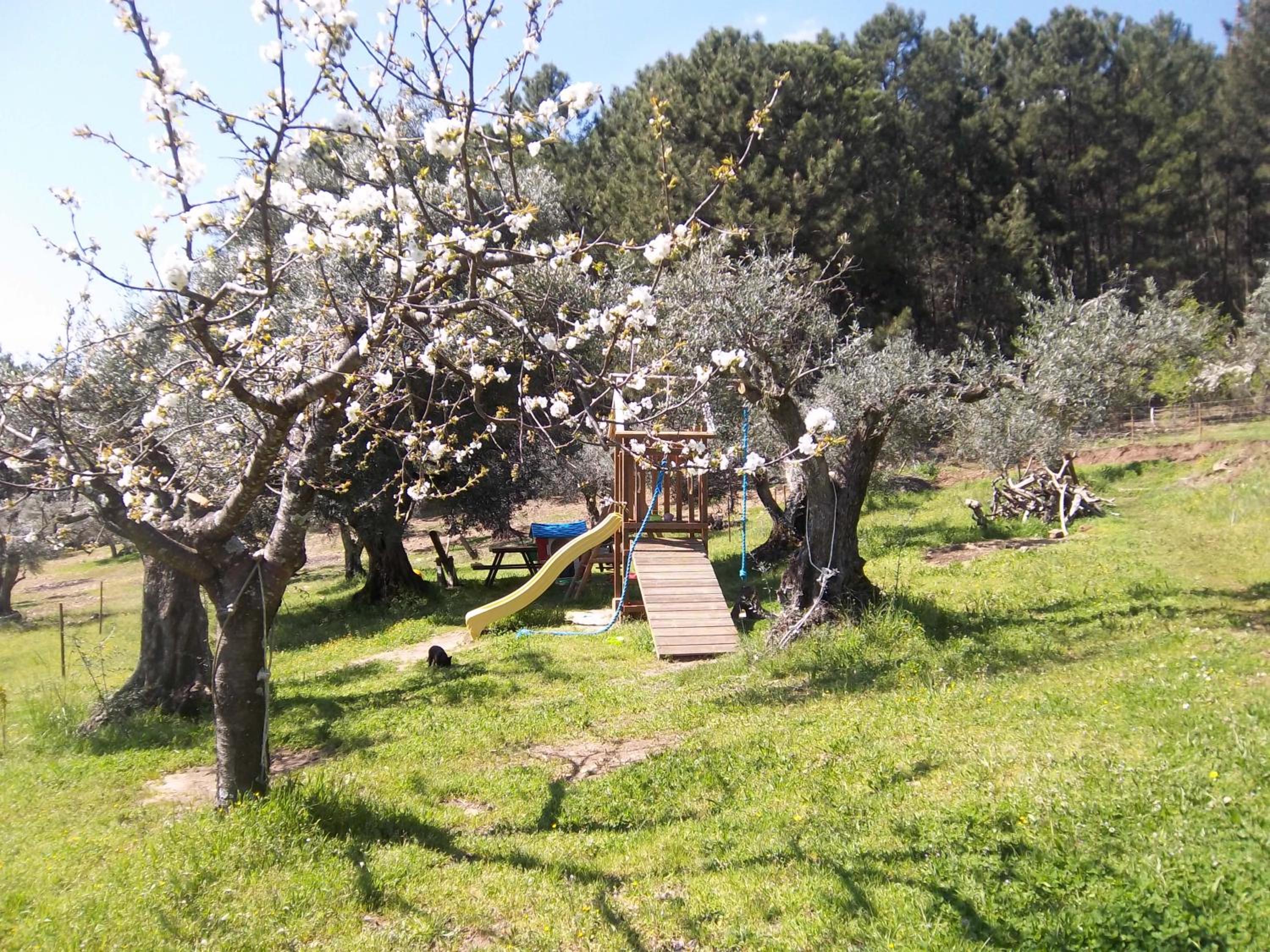 Casa Rural Las Gesillas view 3