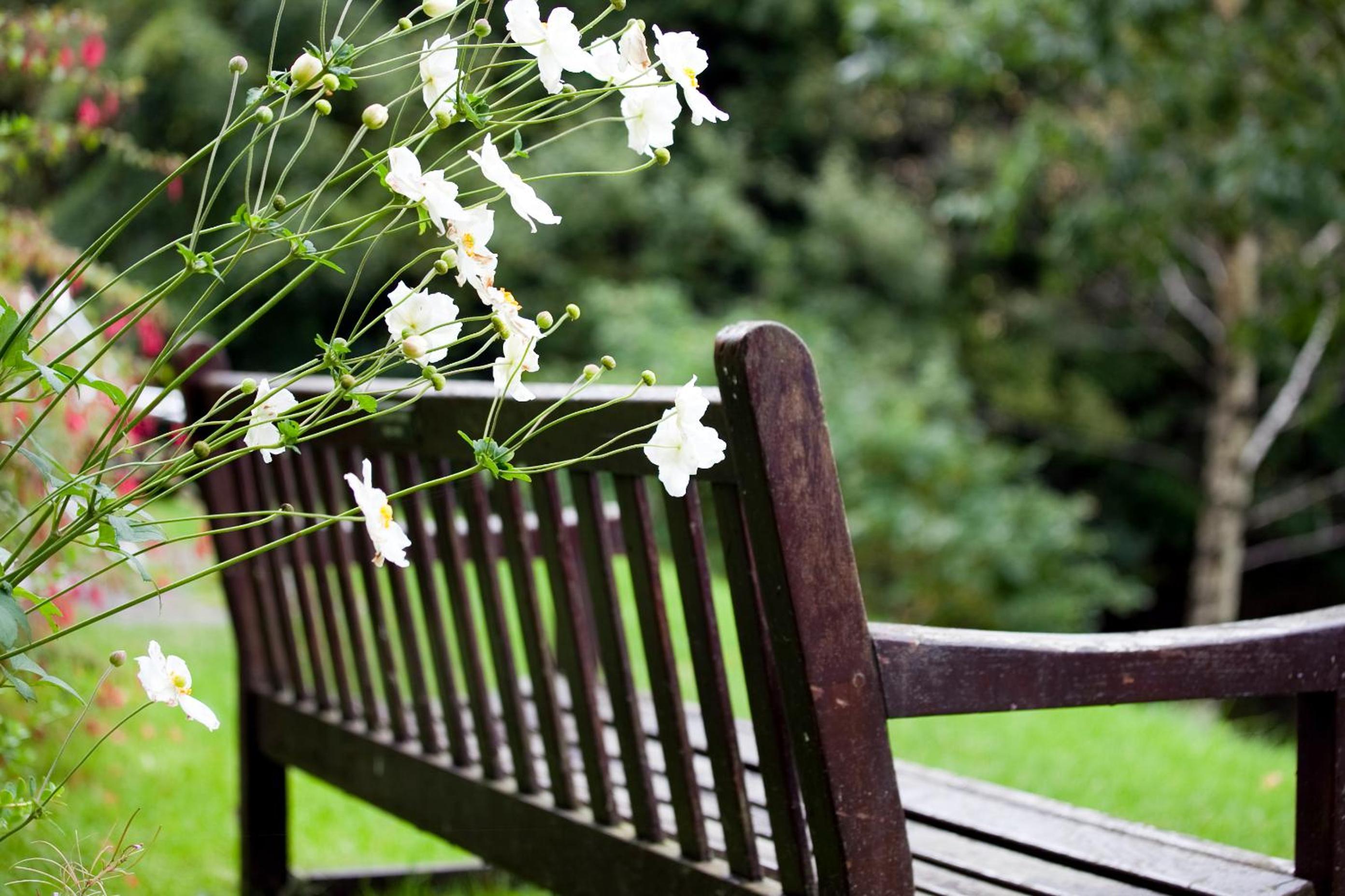 YHA Grasmere Butharlyp Howe