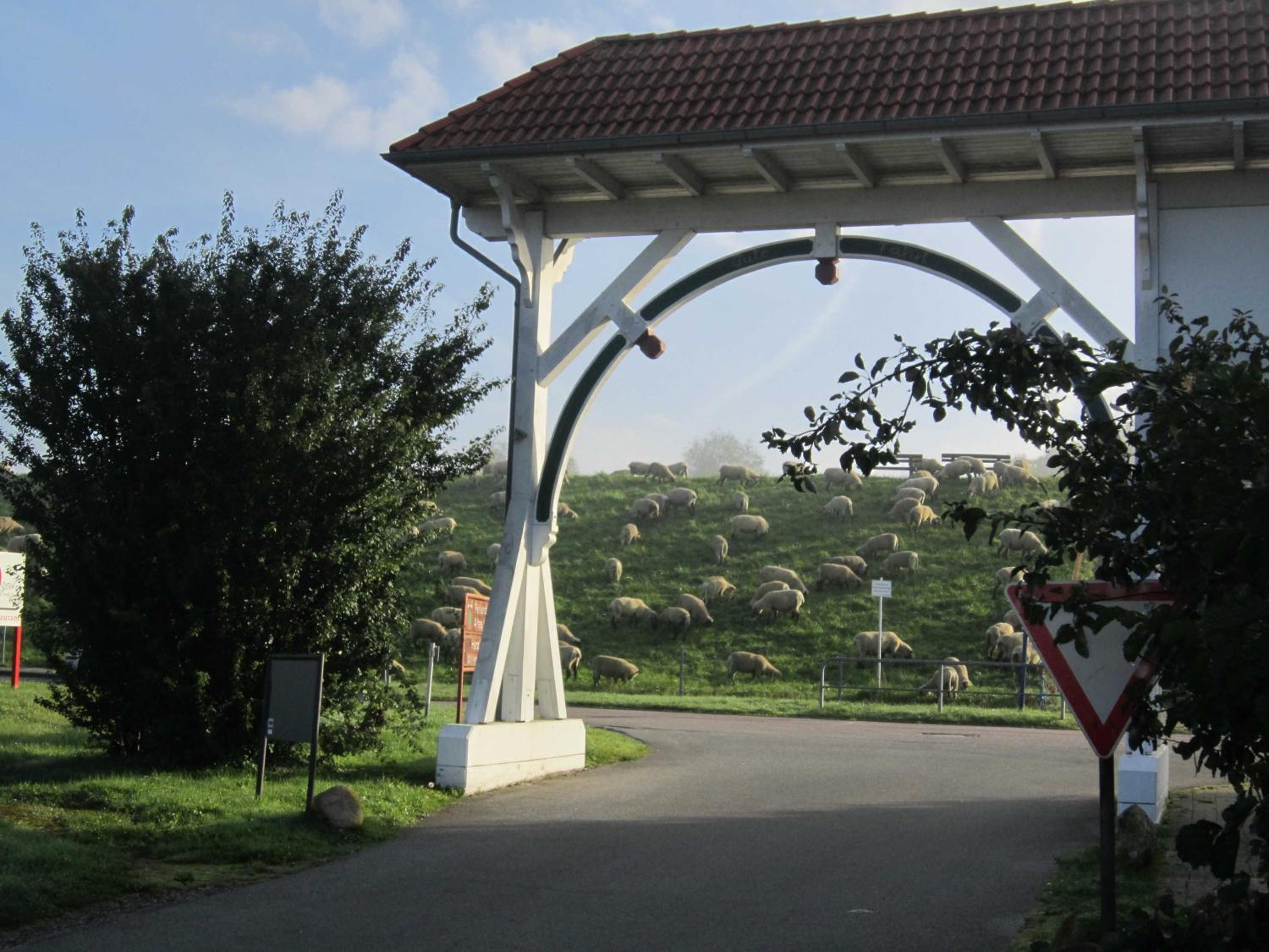 Photo 13