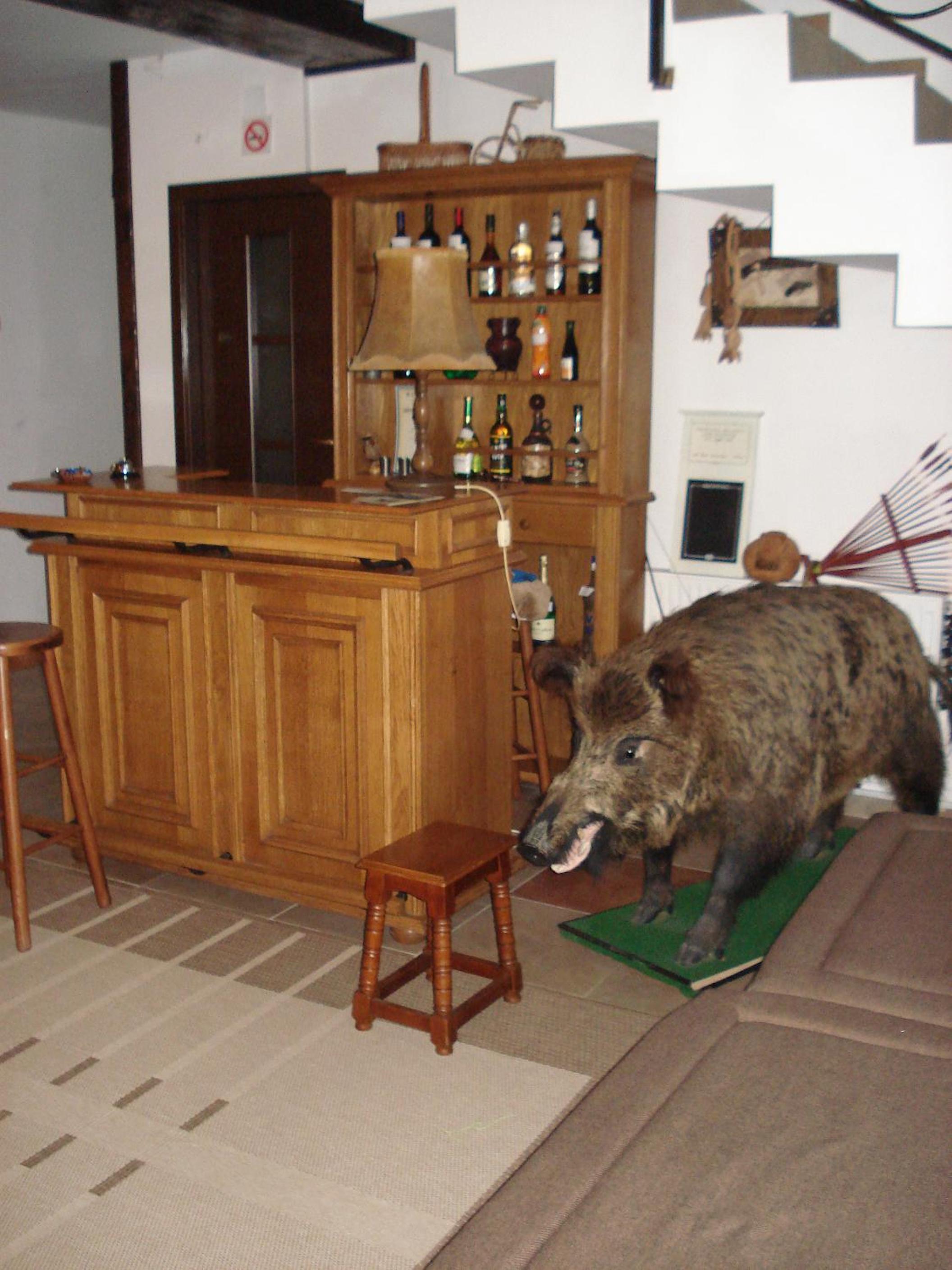 La Bucovineanca