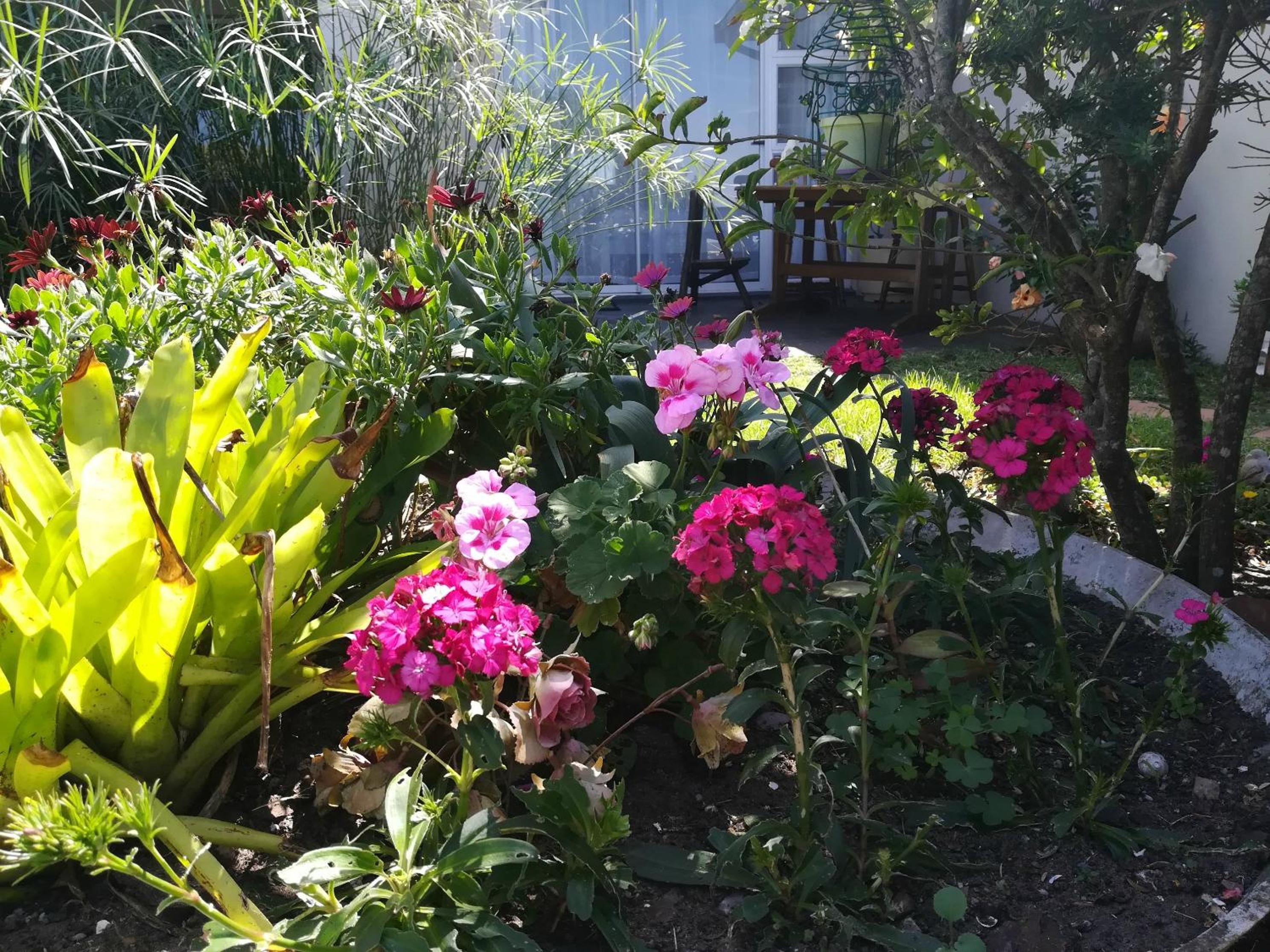 Photo 28