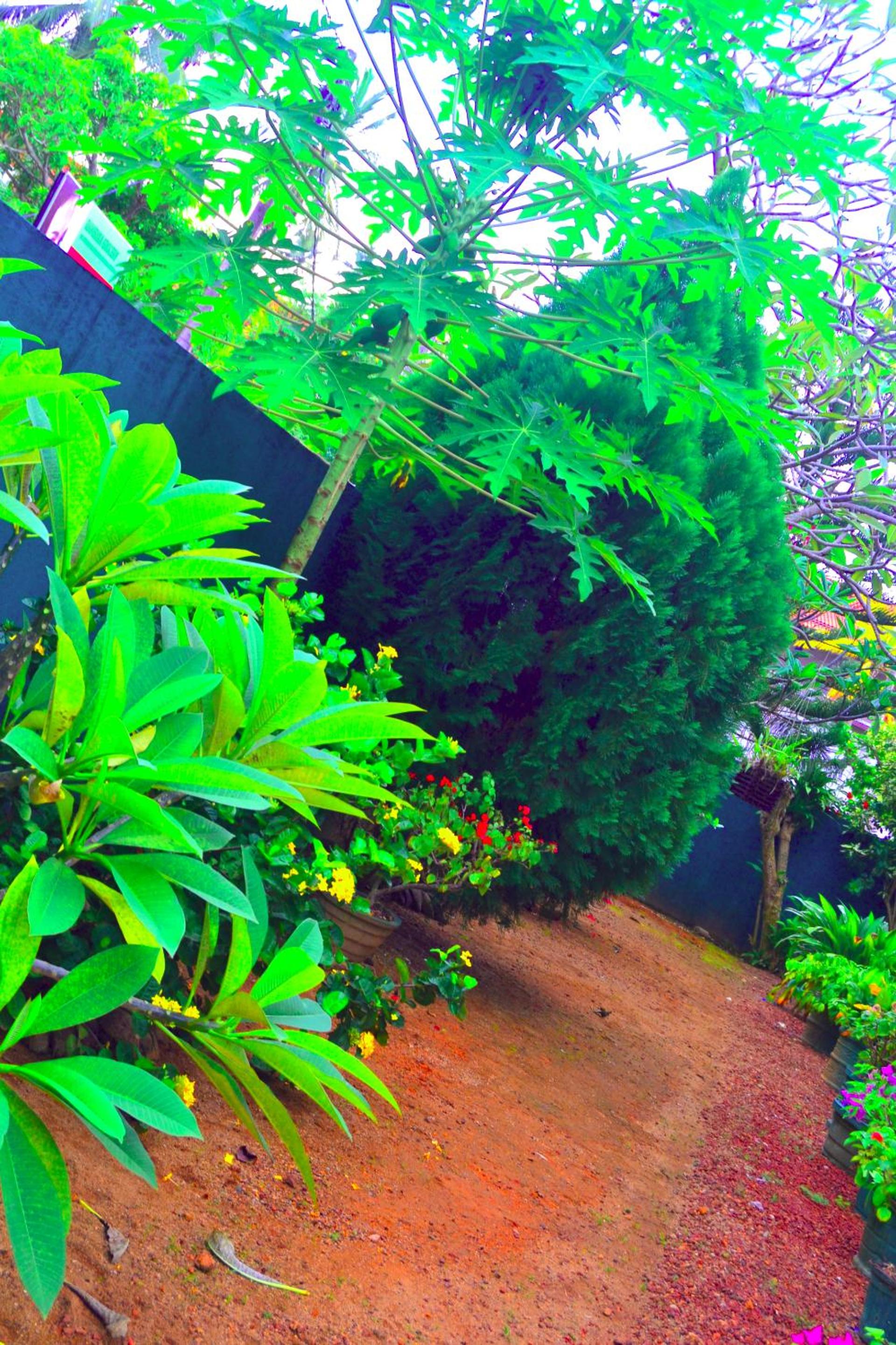 Chaya Villa Guest House