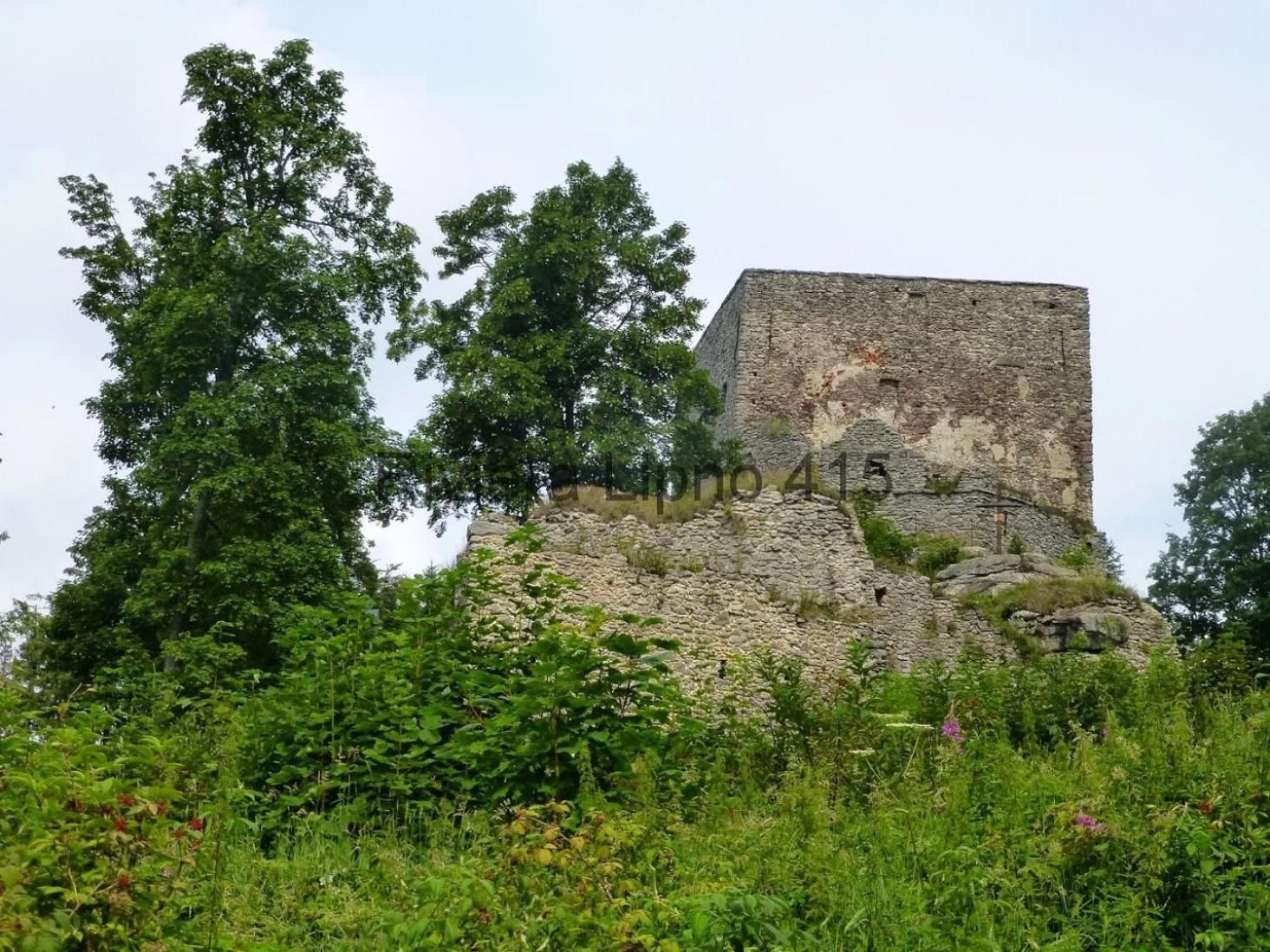Photo 42