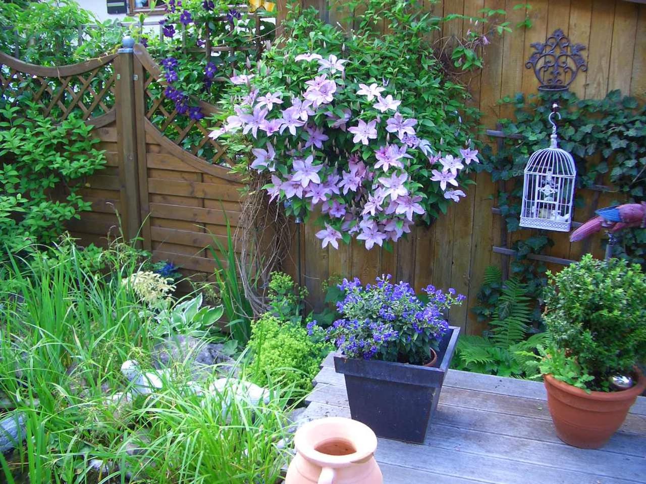 Photo 27