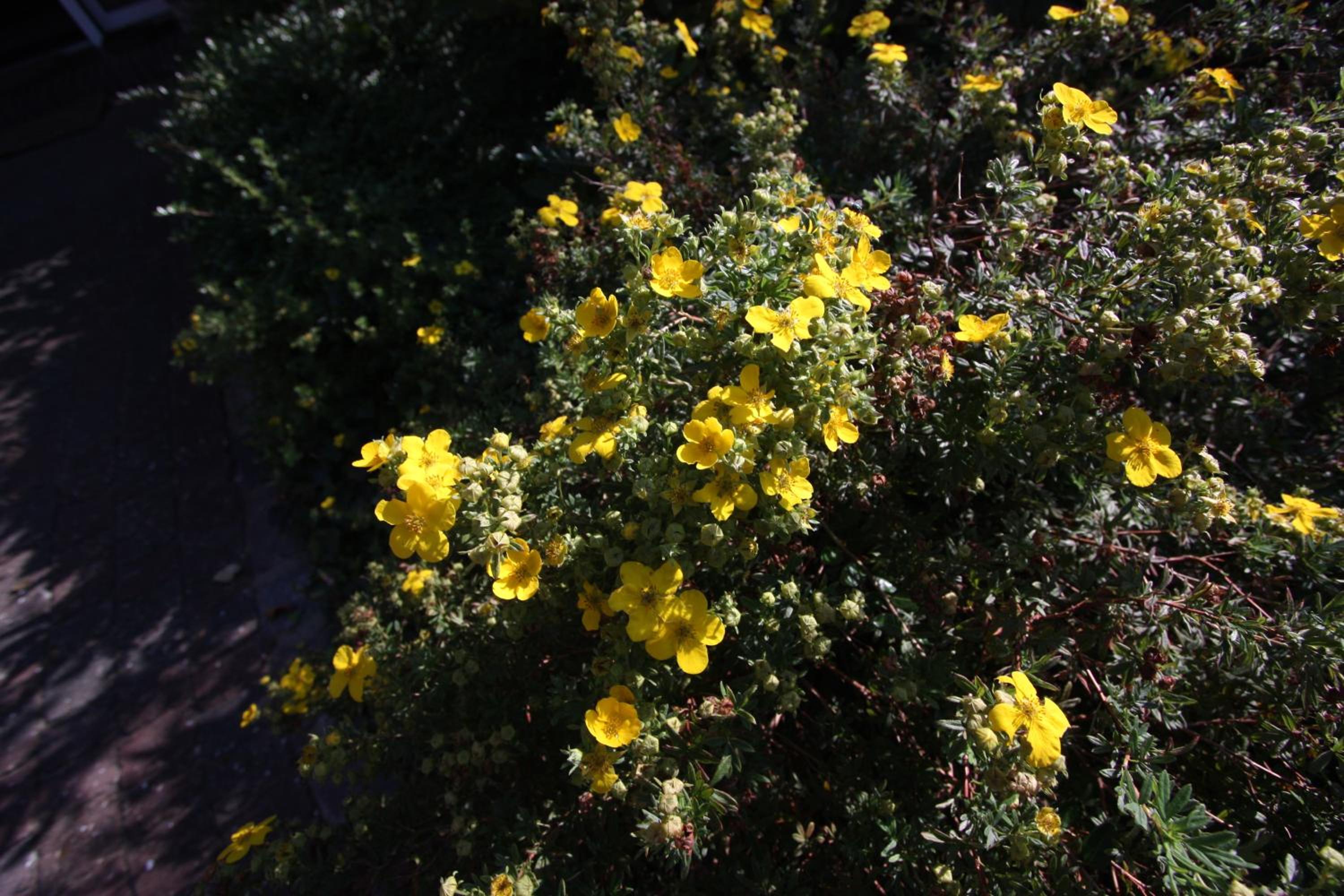 Photo 25