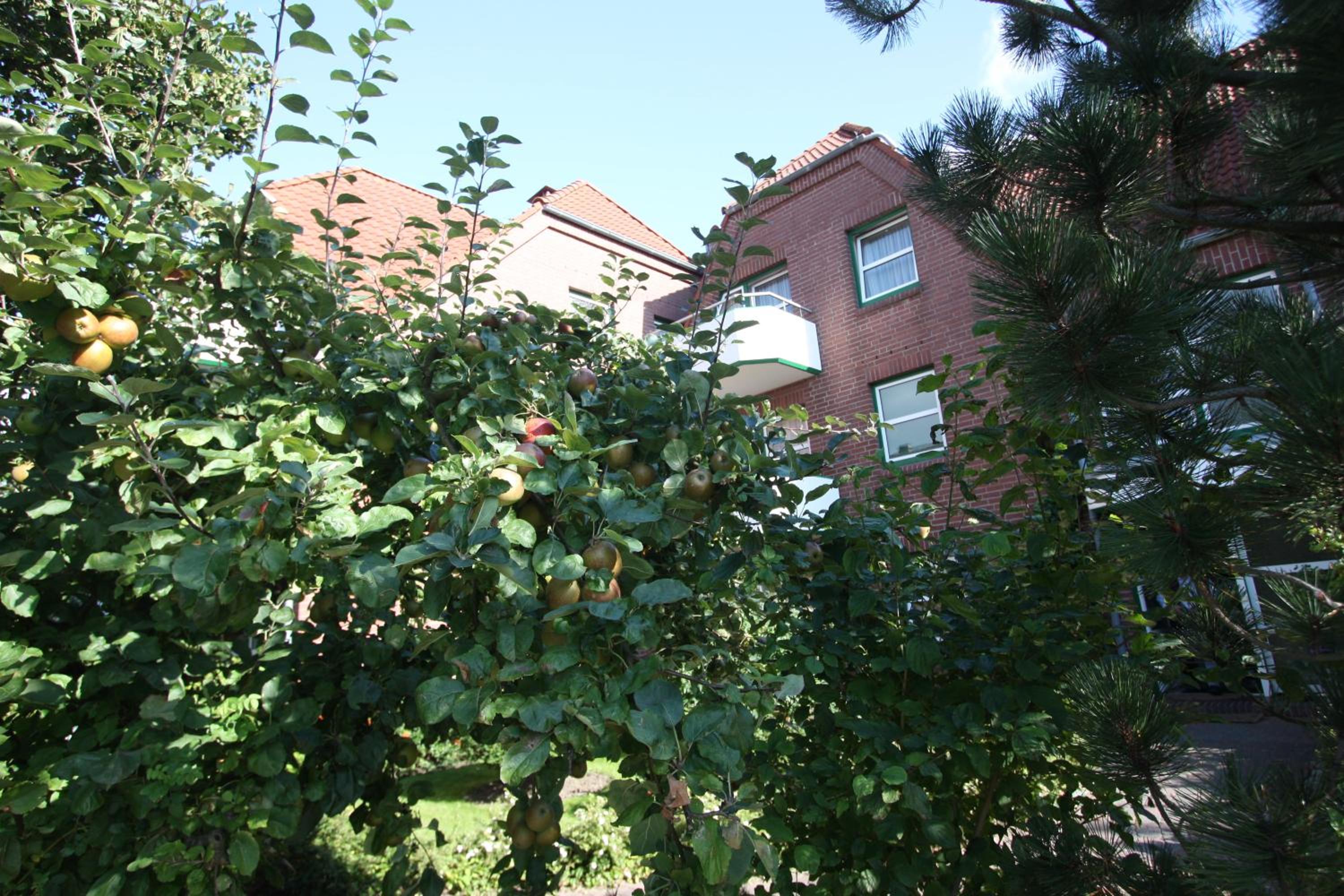 Apartmenthaus Holländerei